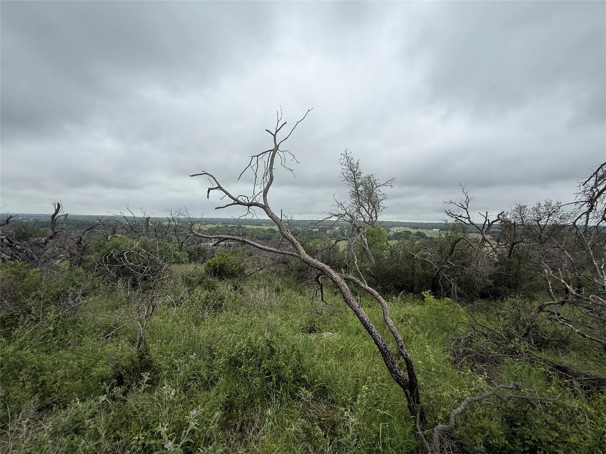 Unimproved Land For Sale in Brown County , TBD779 Feather Bay Drive, Brownwood, Texas 76801, 0, 0, Garage spaces, 0 Sqft, built in 0, mls#21253021, Real Estate Agent in Brownwood, Homes For Sale in Brown county, Homes For Sale in Brownwood, Realtor in Brownwood Texas, Real Estate Brokerage Independent Realty Texas, Luminita Cordes Realtor