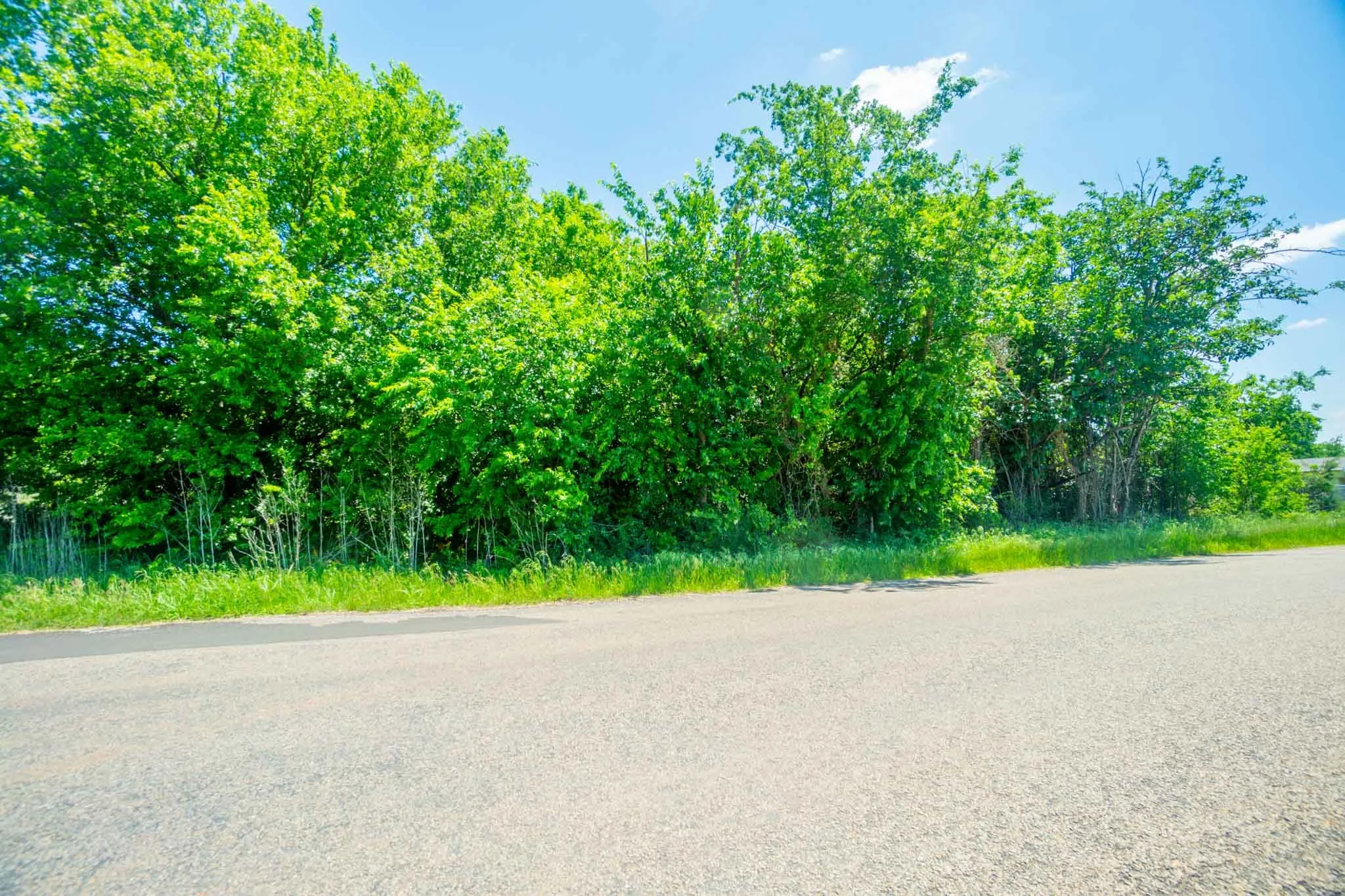 Unimproved Land For Sale in Hood County , 4507 Mimosa Drive, Granbury, Texas 76048, 0, 0, Garage spaces, 0 Sqft, built in 0, mls#21248647, Real Estate Agent in Granbury, Homes For Sale in Hood county, Homes For Sale in Granbury, Realtor in Granbury Texas, Real Estate Brokerage Independent Realty Texas, Luminita Cordes Realtor