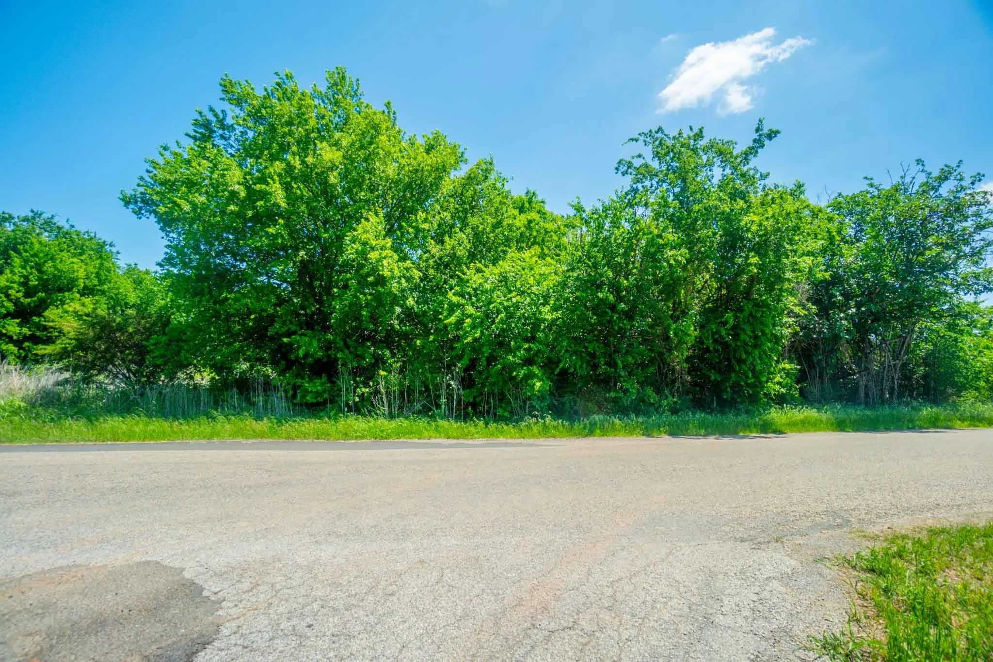 Unimproved Land For Sale in Hood County , 4507 Mimosa Drive, Granbury, Texas 76048, 0, 0, Garage spaces, 0 Sqft, built in 0, mls#21248647, Real Estate Agent in Granbury, Homes For Sale in Hood county, Homes For Sale in Granbury, Realtor in Granbury Texas, Real Estate Brokerage Independent Realty Texas, Luminita Cordes Realtor