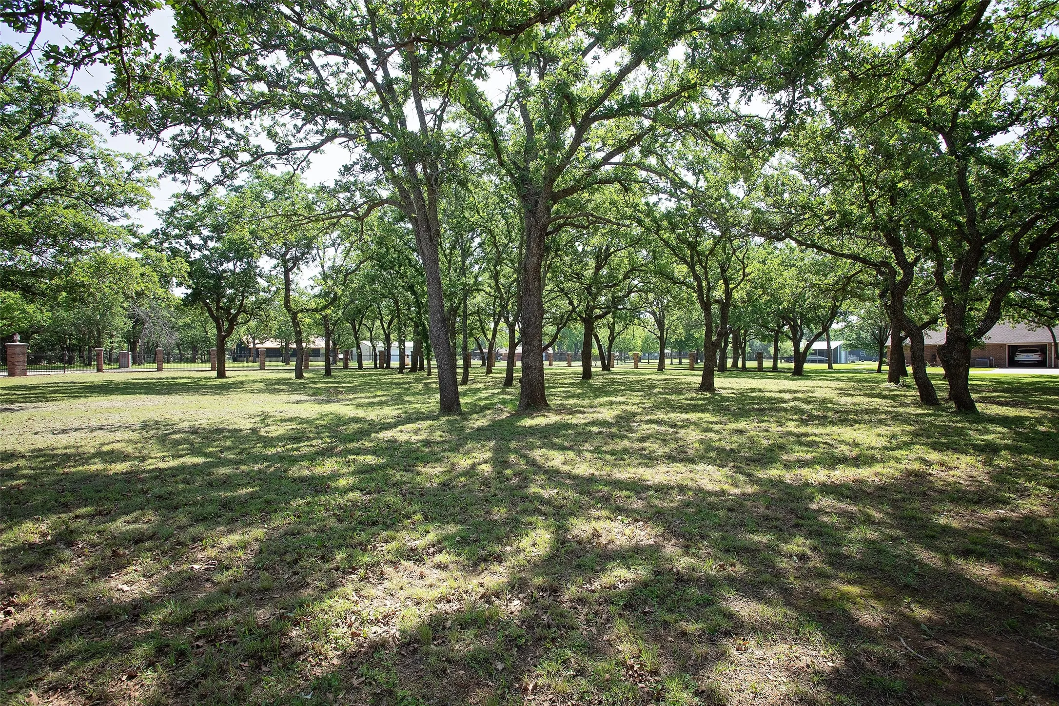 The expansive front yard is dotted with well-spaced trees, allowing filtered sunlight to dance across the landscape while still providing open space for enjoyment.