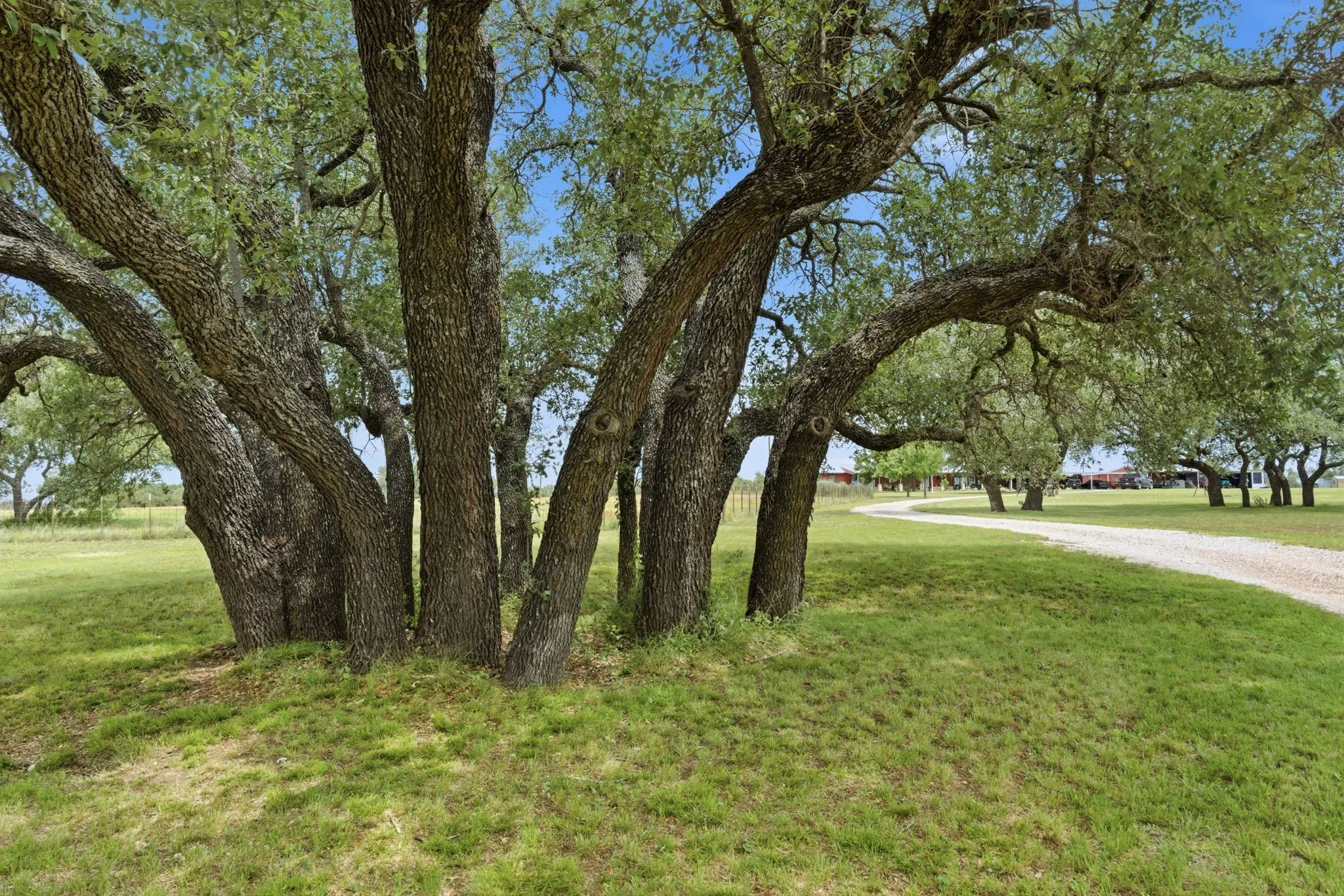 Single Family Residence For Sale in Mills County , 1360 W US Hwy 84 Highway, Mullin, Texas 76864, 3 Bedroom, 3 Bathroom, 2 Garage spaces, 2,242 Sqft, built in 1982, Preowned, mls#21255586, Real Estate Agent in Mullin, Homes For Sale in Mills county, Homes For Sale in Mullin, Realtor in Mullin Texas, Real Estate Brokerage Independent Realty Texas, Luminita Cordes Realtor