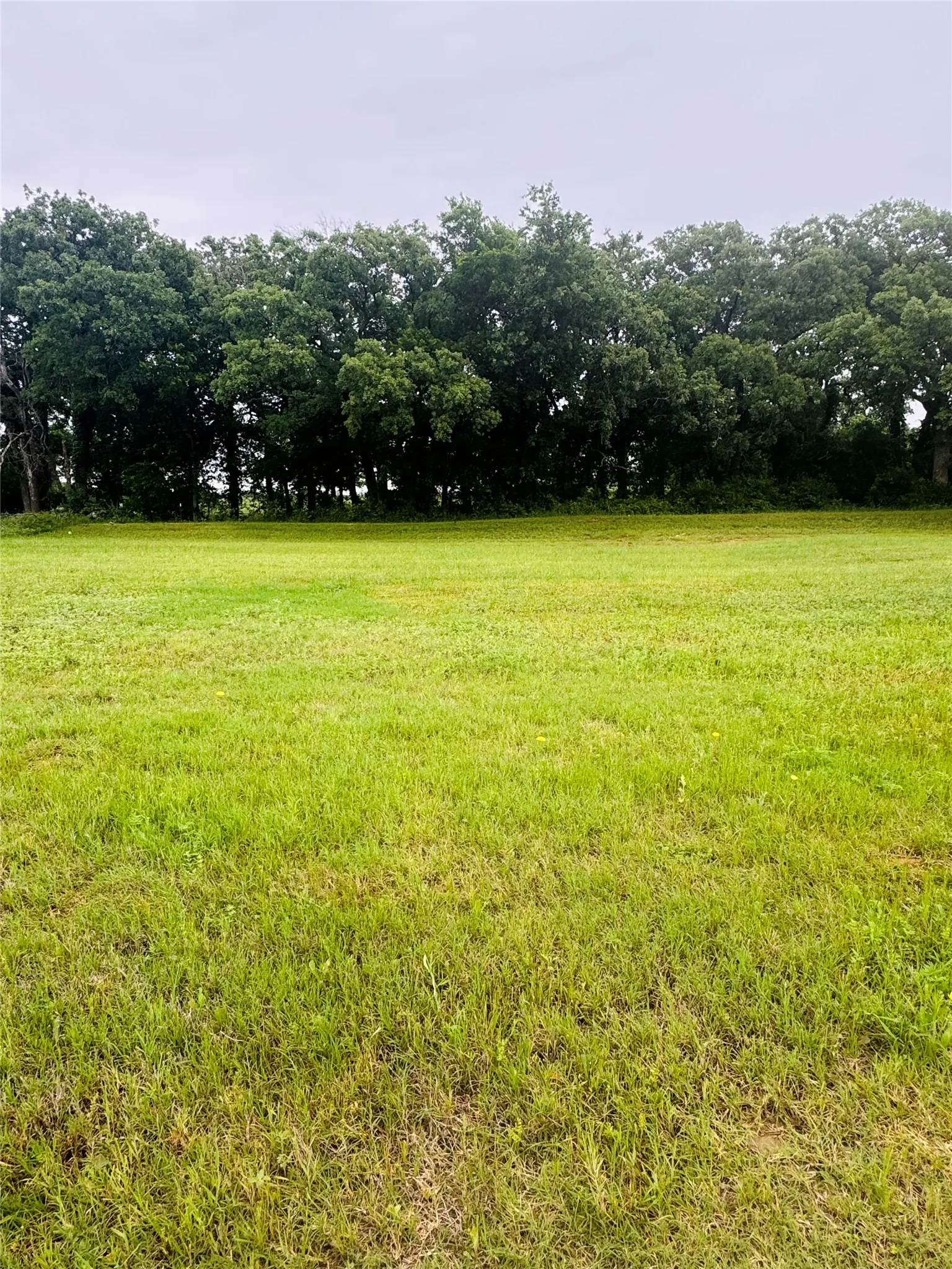 Unimproved Land For Sale in Johnson County , 113 Kylie Street, Cleburne, Texas 76031, 0, 0, Garage spaces, 0 Sqft, built in 0, Price $60,000, mls#21255598, Real Estate Agent in Cleburne, Homes For Sale in Johnson county, Homes For Sale in Cleburne, Realtor in Cleburne Texas, Real Estate Brokerage Independent Realty Texas, Luminita Cordes Realtor