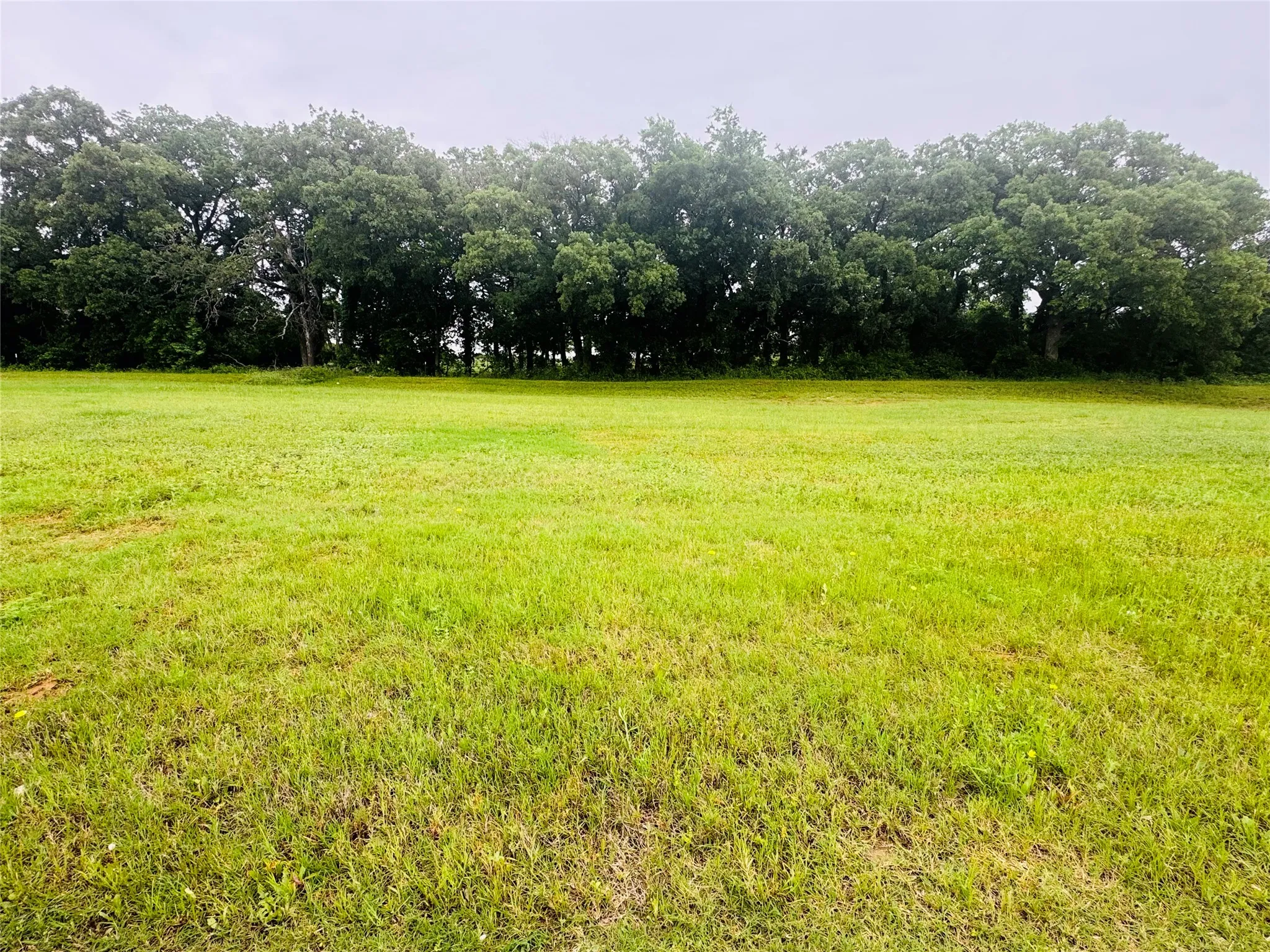 Unimproved Land For Sale in Johnson County , 109 Kylie Street, Cleburne, Texas 76031, 0, 0, Garage spaces, 0 Sqft, built in 0, Price $60,000, mls#21255578, Real Estate Agent in Cleburne, Homes For Sale in Johnson county, Homes For Sale in Cleburne, Realtor in Cleburne Texas, Real Estate Brokerage Independent Realty Texas, Luminita Cordes Realtor