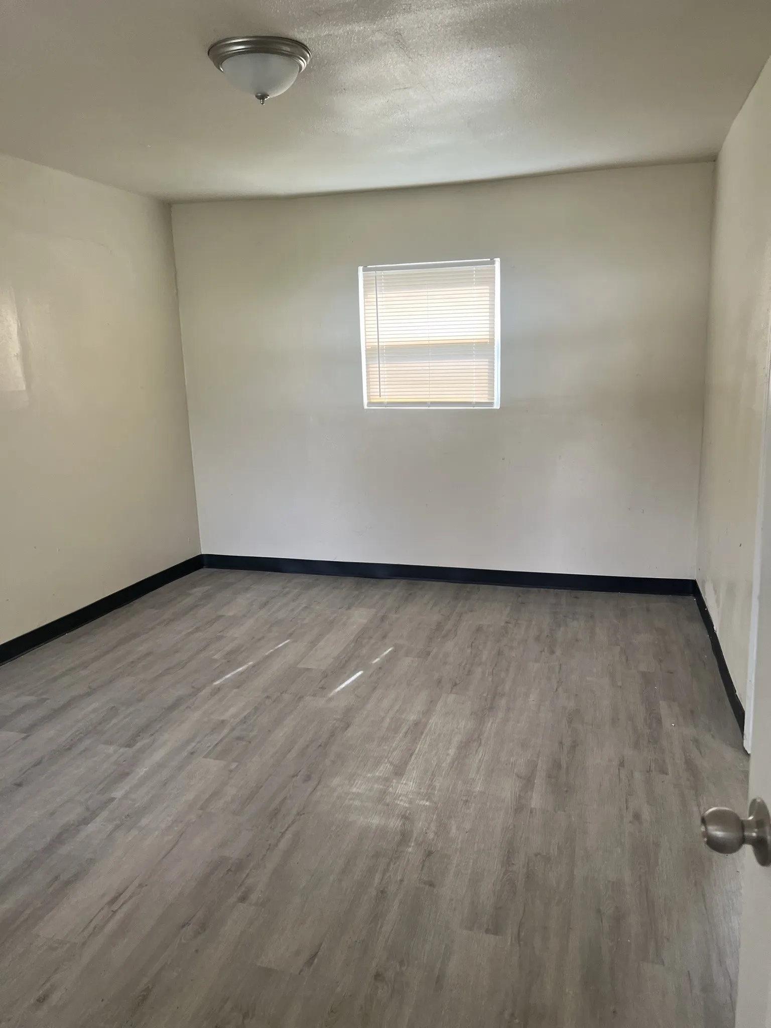 Spacious room featuring wood-finish flooring, white walls, and a ceiling-mounted light fixture