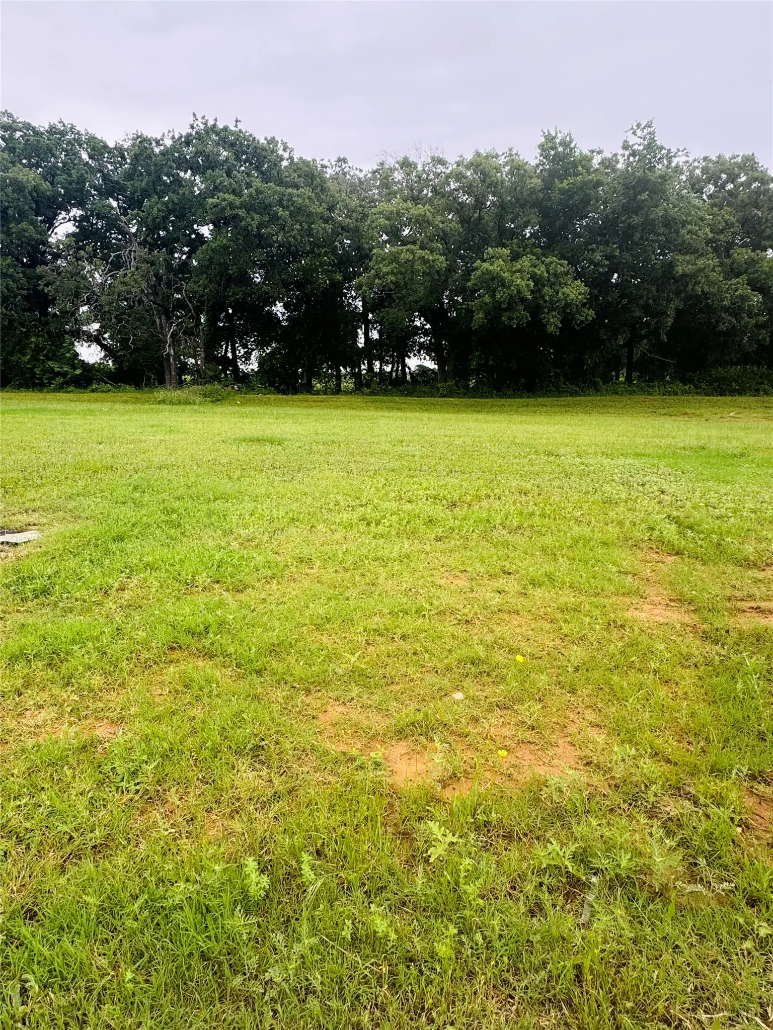 Unimproved Land For Sale in Johnson County , 111 Kylie Street, Cleburne, Texas 76031, 0, 0, Garage spaces, 0 Sqft, built in 0, Price $60,000, mls#21255554, Real Estate Agent in Cleburne, Homes For Sale in Johnson county, Homes For Sale in Cleburne, Realtor in Cleburne Texas, Real Estate Brokerage Independent Realty Texas, Luminita Cordes Realtor
