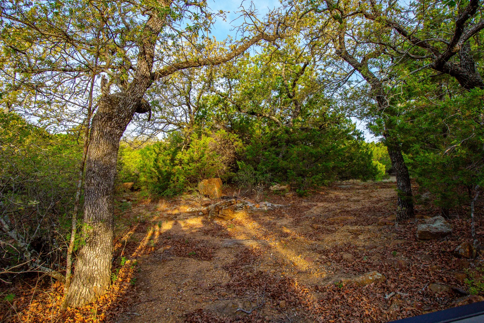 Ranch For Sale in Young County , 3257 Finis Road, Graham, Texas 76450, 0, 0, Garage spaces, 0 Sqft, built in 0, mls#21255992, Real Estate Agent in Graham, Homes For Sale in Young county, Homes For Sale in Graham, Realtor in Graham Texas, Real Estate Brokerage Independent Realty Texas, Luminita Cordes Realtor