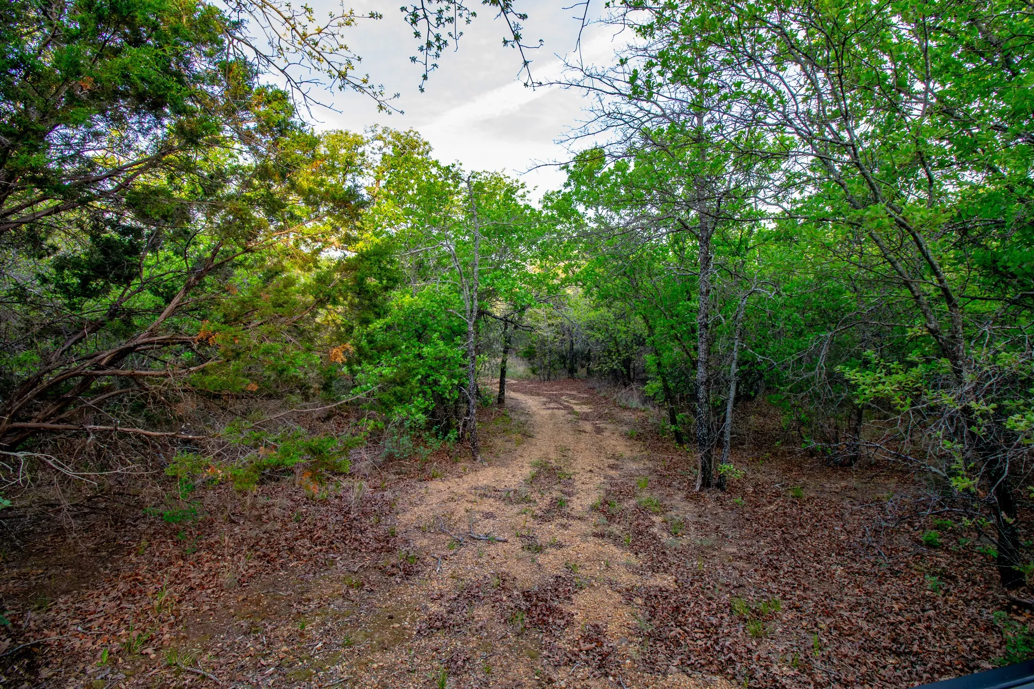 Ranch For Sale in Young County , 3257 Finis Road, Graham, Texas 76450, 0, 0, Garage spaces, 0 Sqft, built in 0, mls#21255992, Real Estate Agent in Graham, Homes For Sale in Young county, Homes For Sale in Graham, Realtor in Graham Texas, Real Estate Brokerage Independent Realty Texas, Luminita Cordes Realtor