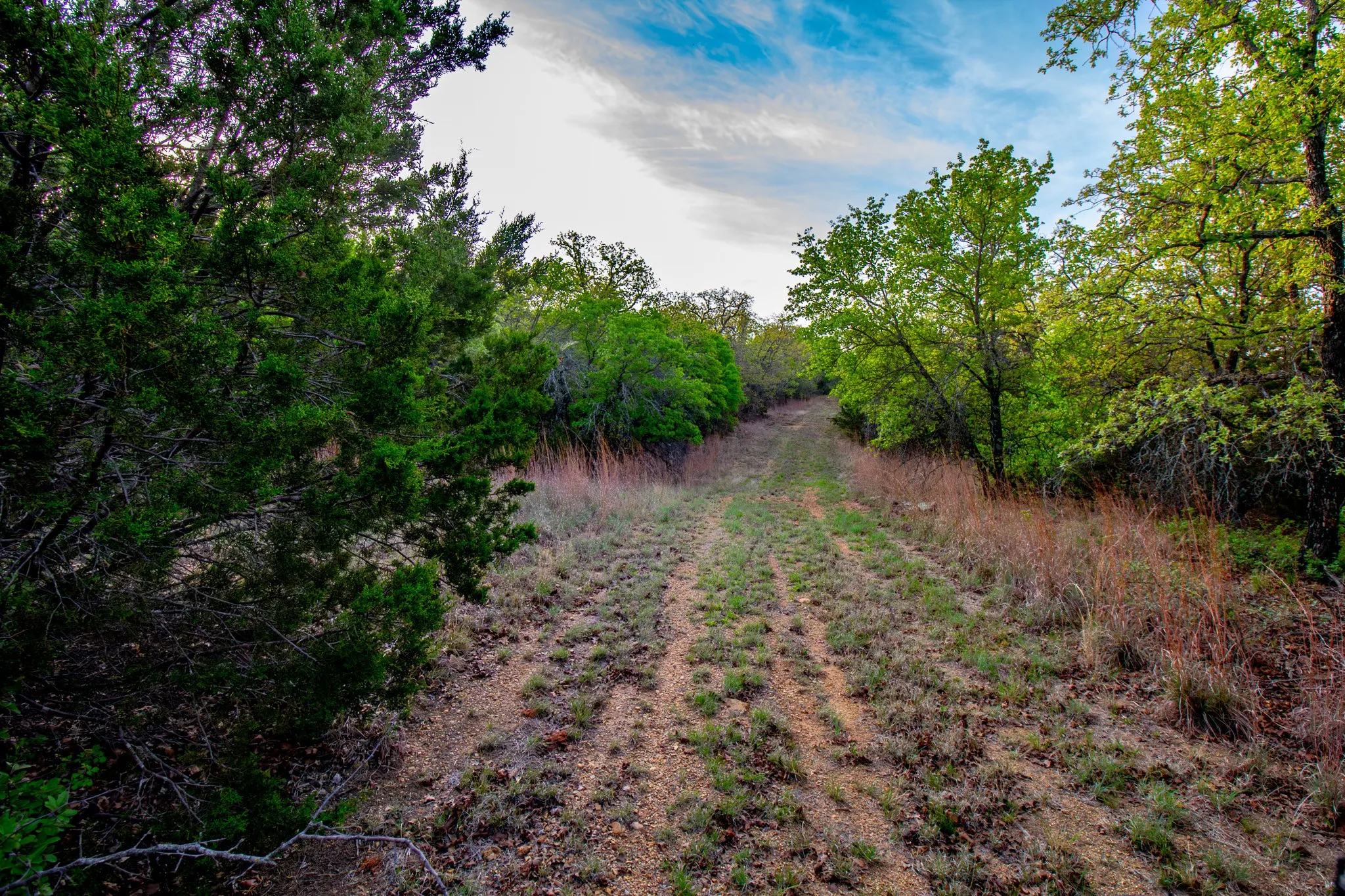 Ranch For Sale in Young County , 3257 Finis Road, Graham, Texas 76450, 0, 0, Garage spaces, 0 Sqft, built in 0, mls#21255992, Real Estate Agent in Graham, Homes For Sale in Young county, Homes For Sale in Graham, Realtor in Graham Texas, Real Estate Brokerage Independent Realty Texas, Luminita Cordes Realtor