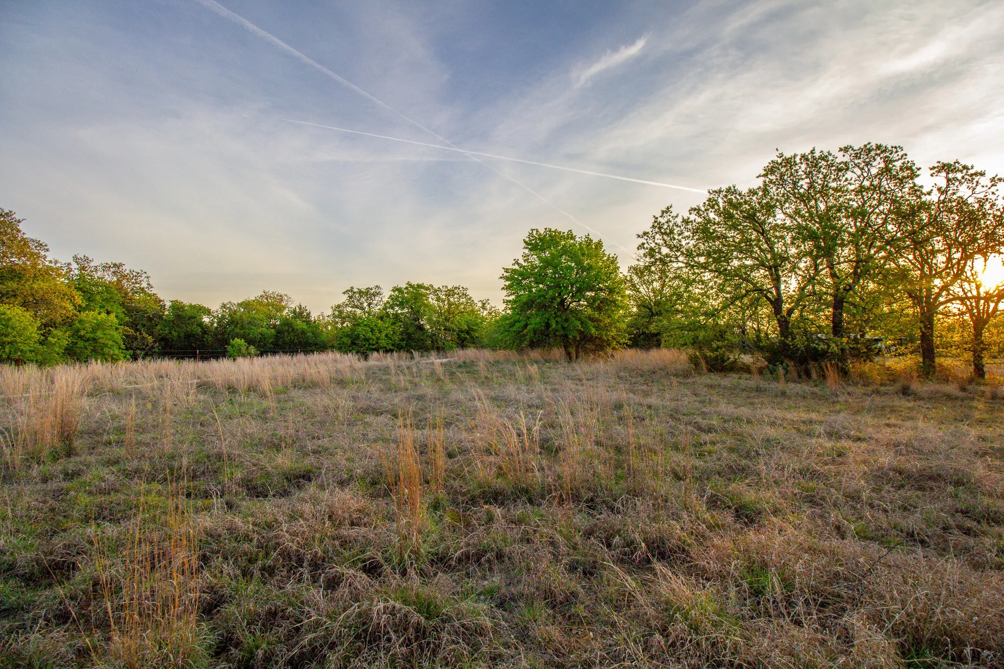 Ranch For Sale in Young County , 3257 Finis Road, Graham, Texas 76450, 0, 0, Garage spaces, 0 Sqft, built in 0, mls#21255992, Real Estate Agent in Graham, Homes For Sale in Young county, Homes For Sale in Graham, Realtor in Graham Texas, Real Estate Brokerage Independent Realty Texas, Luminita Cordes Realtor