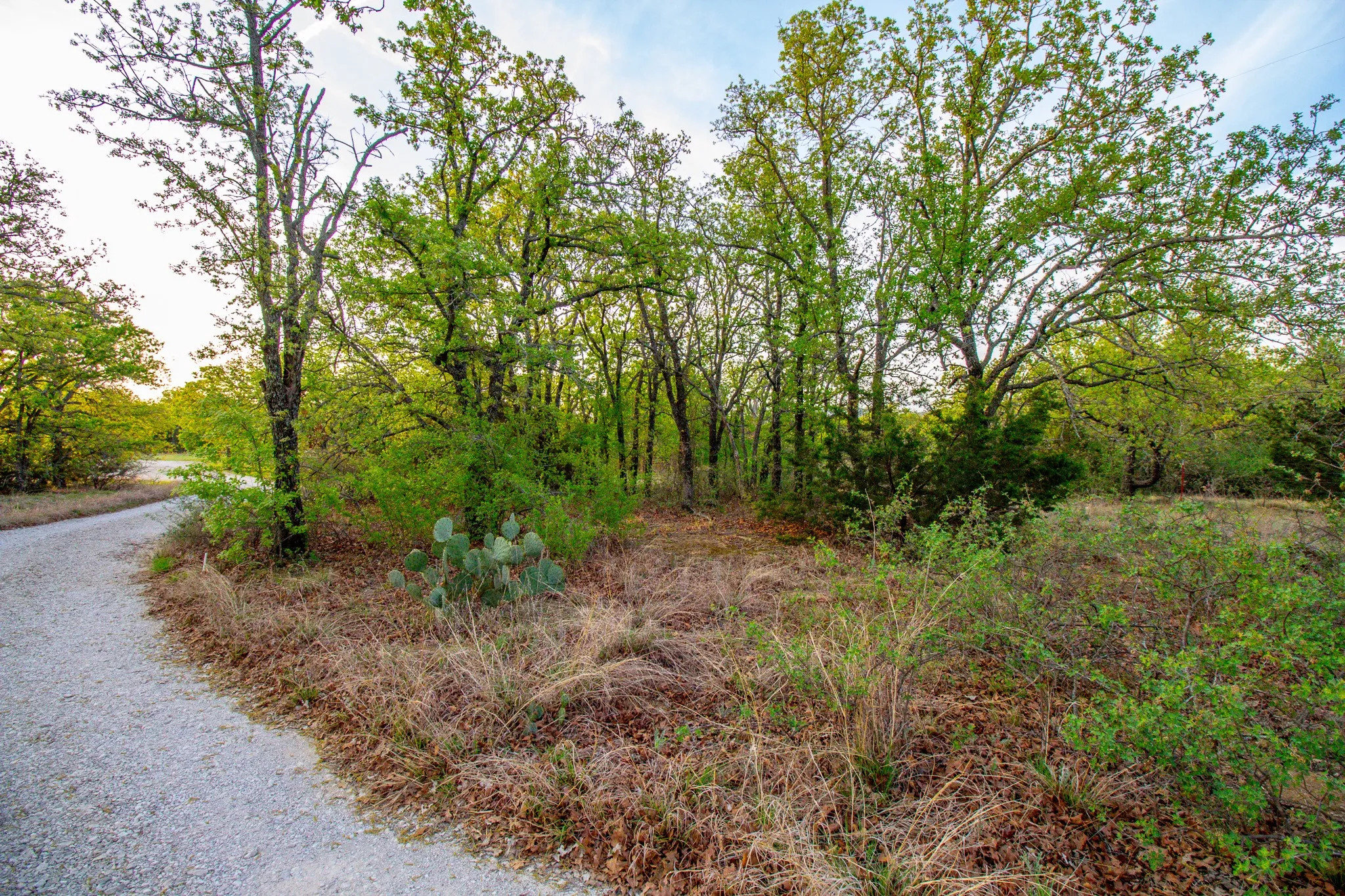 Ranch For Sale in Young County , 3257 Finis Road, Graham, Texas 76450, 0, 0, Garage spaces, 0 Sqft, built in 0, mls#21255992, Real Estate Agent in Graham, Homes For Sale in Young county, Homes For Sale in Graham, Realtor in Graham Texas, Real Estate Brokerage Independent Realty Texas, Luminita Cordes Realtor