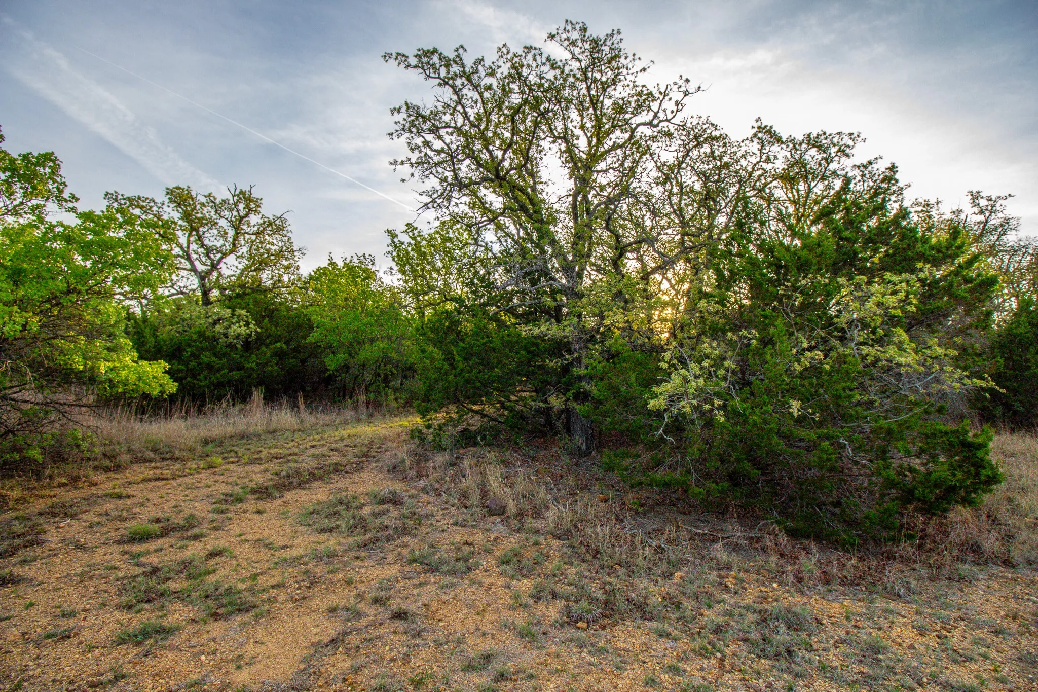 Ranch For Sale in Young County , 3257 Finis Road, Graham, Texas 76450, 0, 0, Garage spaces, 0 Sqft, built in 0, mls#21255992, Real Estate Agent in Graham, Homes For Sale in Young county, Homes For Sale in Graham, Realtor in Graham Texas, Real Estate Brokerage Independent Realty Texas, Luminita Cordes Realtor