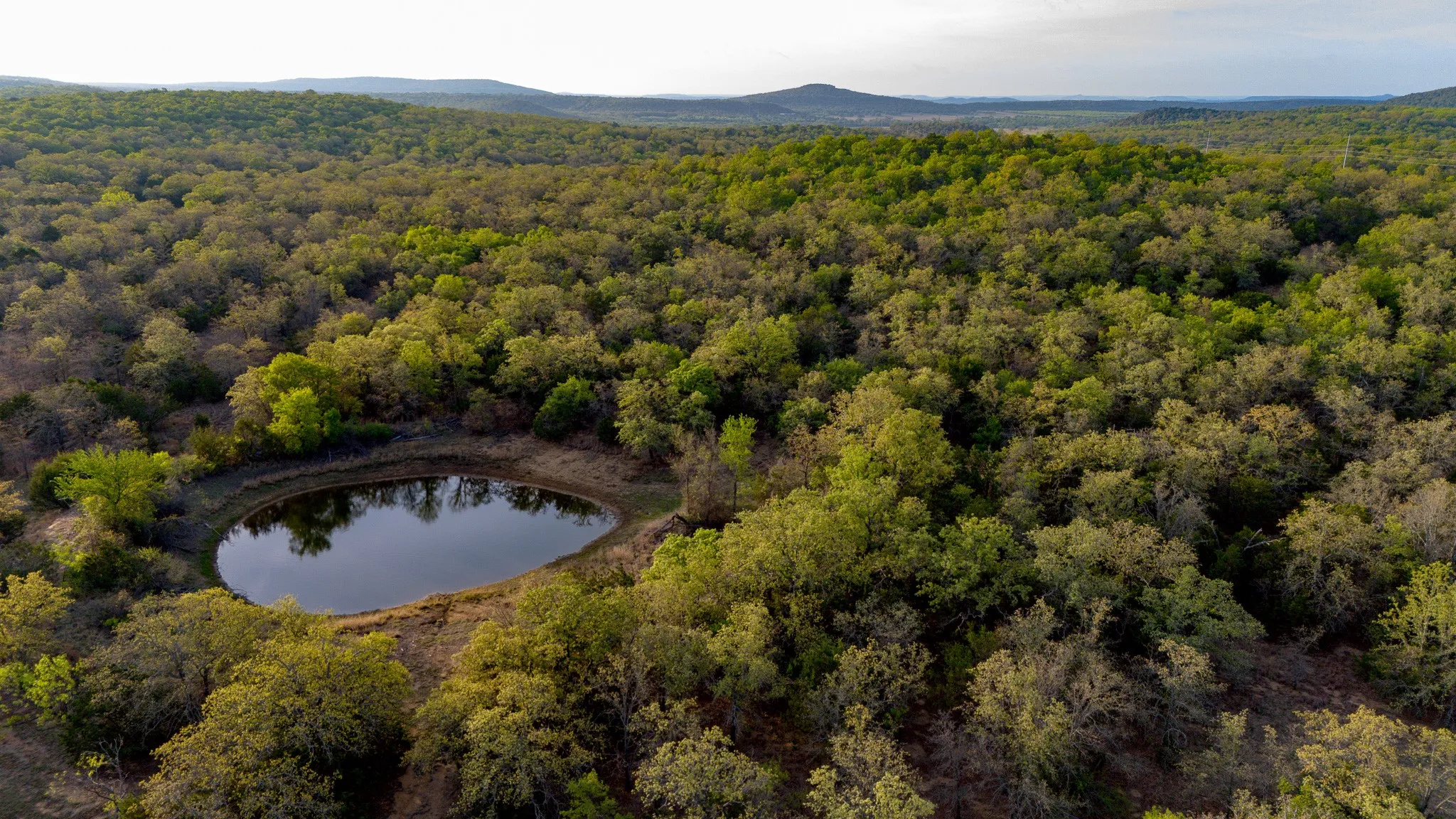 Ranch For Sale in Young County , 3257 Finis Road, Graham, Texas 76450, 0, 0, Garage spaces, 0 Sqft, built in 0, mls#21255992, Real Estate Agent in Graham, Homes For Sale in Young county, Homes For Sale in Graham, Realtor in Graham Texas, Real Estate Brokerage Independent Realty Texas, Luminita Cordes Realtor