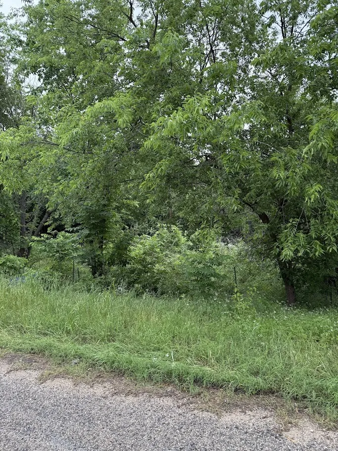 Unimproved Land For Sale in Tarrant County , 7419 Cottonwood Creek Road, Fort Worth, Texas 76135, 0, 0, Garage spaces, 0 Sqft, built in 0, mls#21255986, Real Estate Agent in Fort Worth, Homes For Sale in Tarrant county, Homes For Sale in Fort Worth, Realtor in Fort Worth Texas, Real Estate Brokerage Independent Realty Texas, Luminita Cordes Realtor
