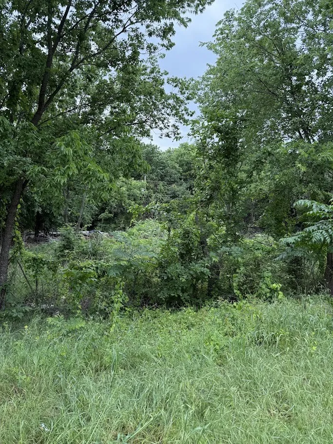 Unimproved Land For Sale in Tarrant County , 7419 Cottonwood Creek Road, Fort Worth, Texas 76135, 0, 0, Garage spaces, 0 Sqft, built in 0, mls#21255986, Real Estate Agent in Fort Worth, Homes For Sale in Tarrant county, Homes For Sale in Fort Worth, Realtor in Fort Worth Texas, Real Estate Brokerage Independent Realty Texas, Luminita Cordes Realtor