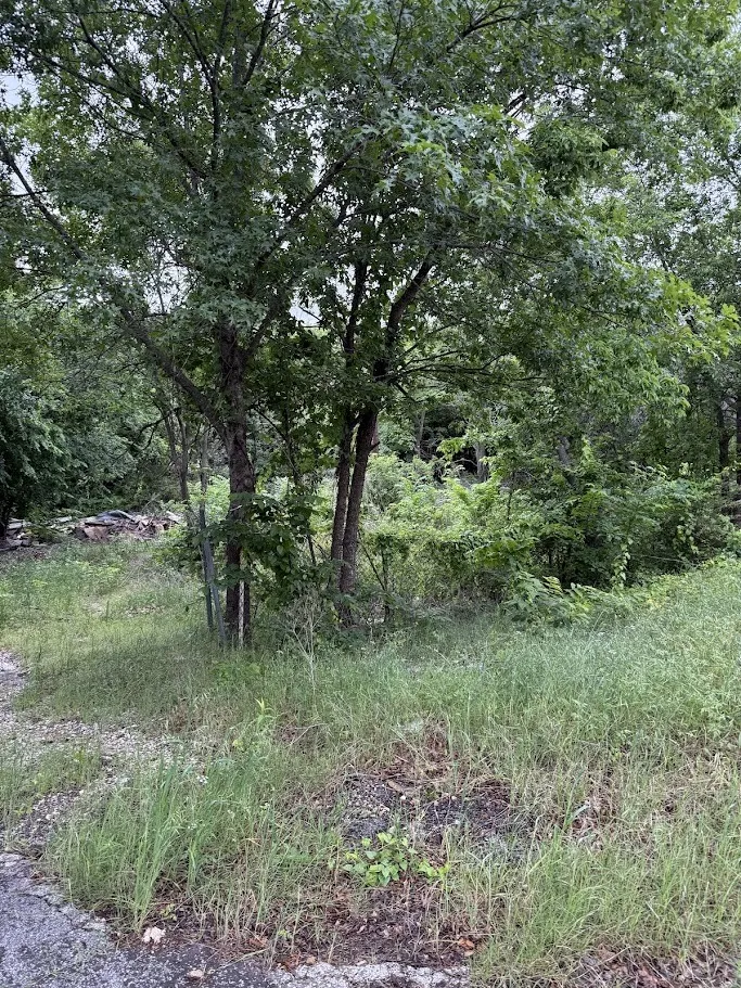 Unimproved Land For Sale in Tarrant County , 7419 Cottonwood Creek Road, Fort Worth, Texas 76135, 0, 0, Garage spaces, 0 Sqft, built in 0, mls#21255986, Real Estate Agent in Fort Worth, Homes For Sale in Tarrant county, Homes For Sale in Fort Worth, Realtor in Fort Worth Texas, Real Estate Brokerage Independent Realty Texas, Luminita Cordes Realtor