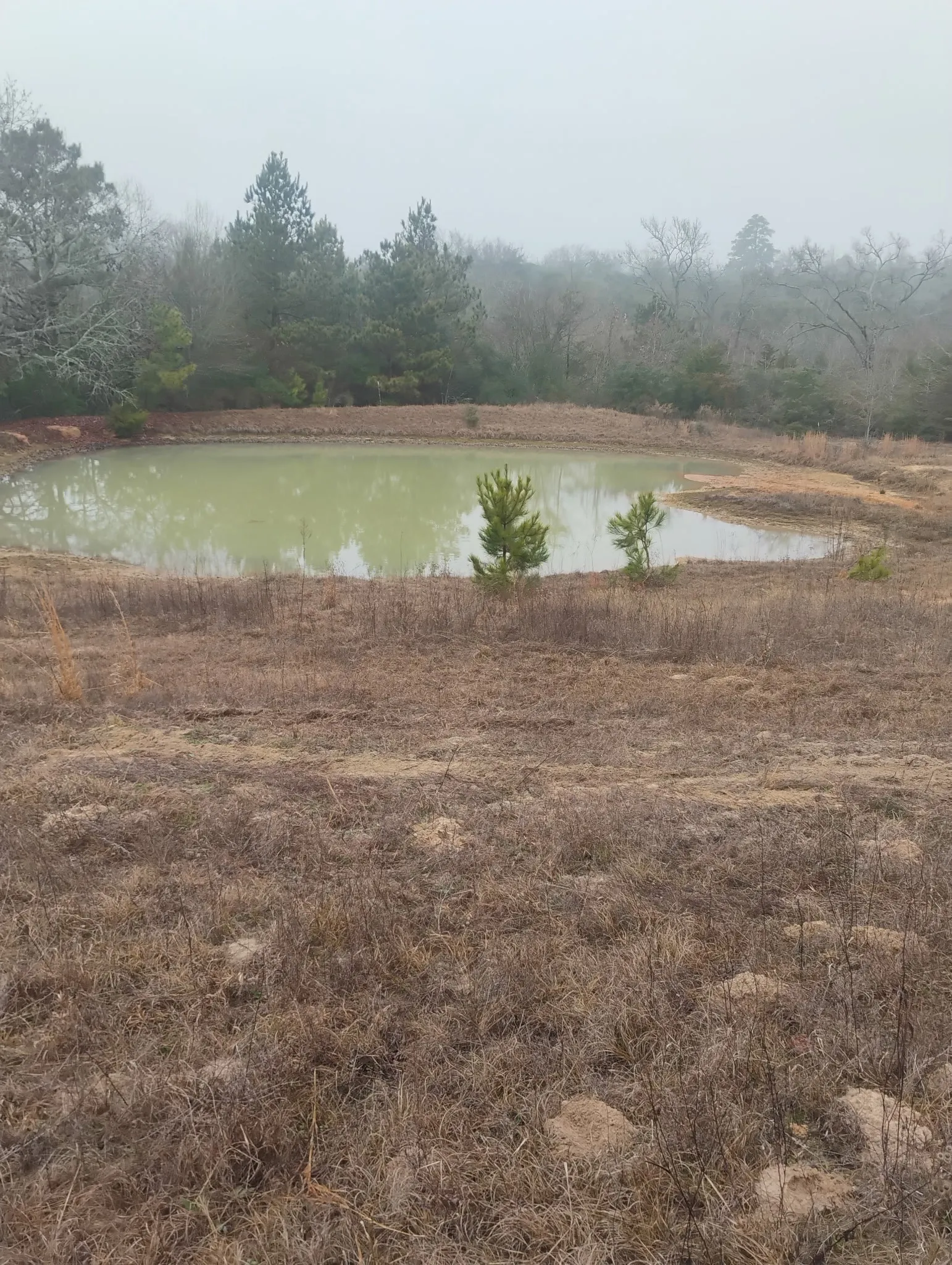 Unimproved Land For Sale in Leon County , TBD County road 204, Centerville, Texas 75833, 0, 0, Garage spaces, 0 Sqft, built in 0, Price $780,000, mls#21249518, Real Estate Agent in Centerville, Homes For Sale in Leon county, Homes For Sale in Centerville, Realtor in Centerville Texas, Real Estate Brokerage Independent Realty Texas, Luminita Cordes Realtor