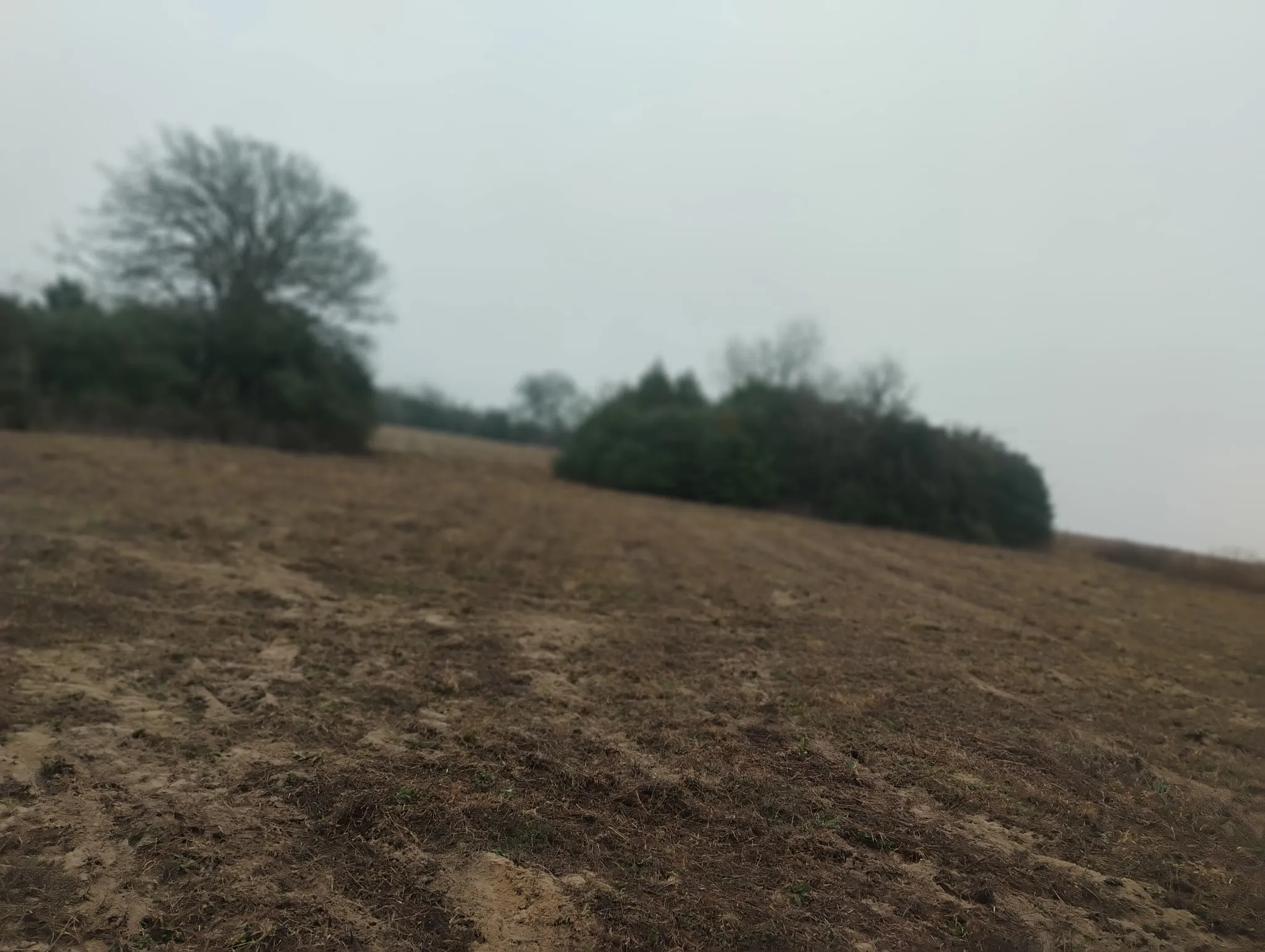 Unimproved Land For Sale in Leon County , TBD County road 204, Centerville, Texas 75833, 0, 0, Garage spaces, 0 Sqft, built in 0, Price $780,000, mls#21249518, Real Estate Agent in Centerville, Homes For Sale in Leon county, Homes For Sale in Centerville, Realtor in Centerville Texas, Real Estate Brokerage Independent Realty Texas, Luminita Cordes Realtor