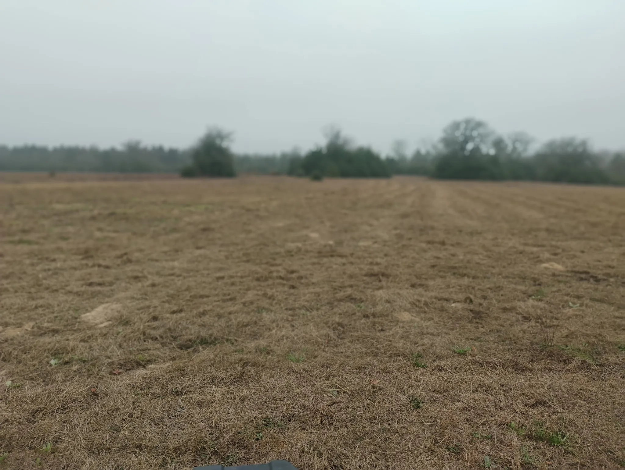 Unimproved Land For Sale in Leon County , TBD County road 204, Centerville, Texas 75833, 0, 0, Garage spaces, 0 Sqft, built in 0, Price $780,000, mls#21249518, Real Estate Agent in Centerville, Homes For Sale in Leon county, Homes For Sale in Centerville, Realtor in Centerville Texas, Real Estate Brokerage Independent Realty Texas, Luminita Cordes Realtor
