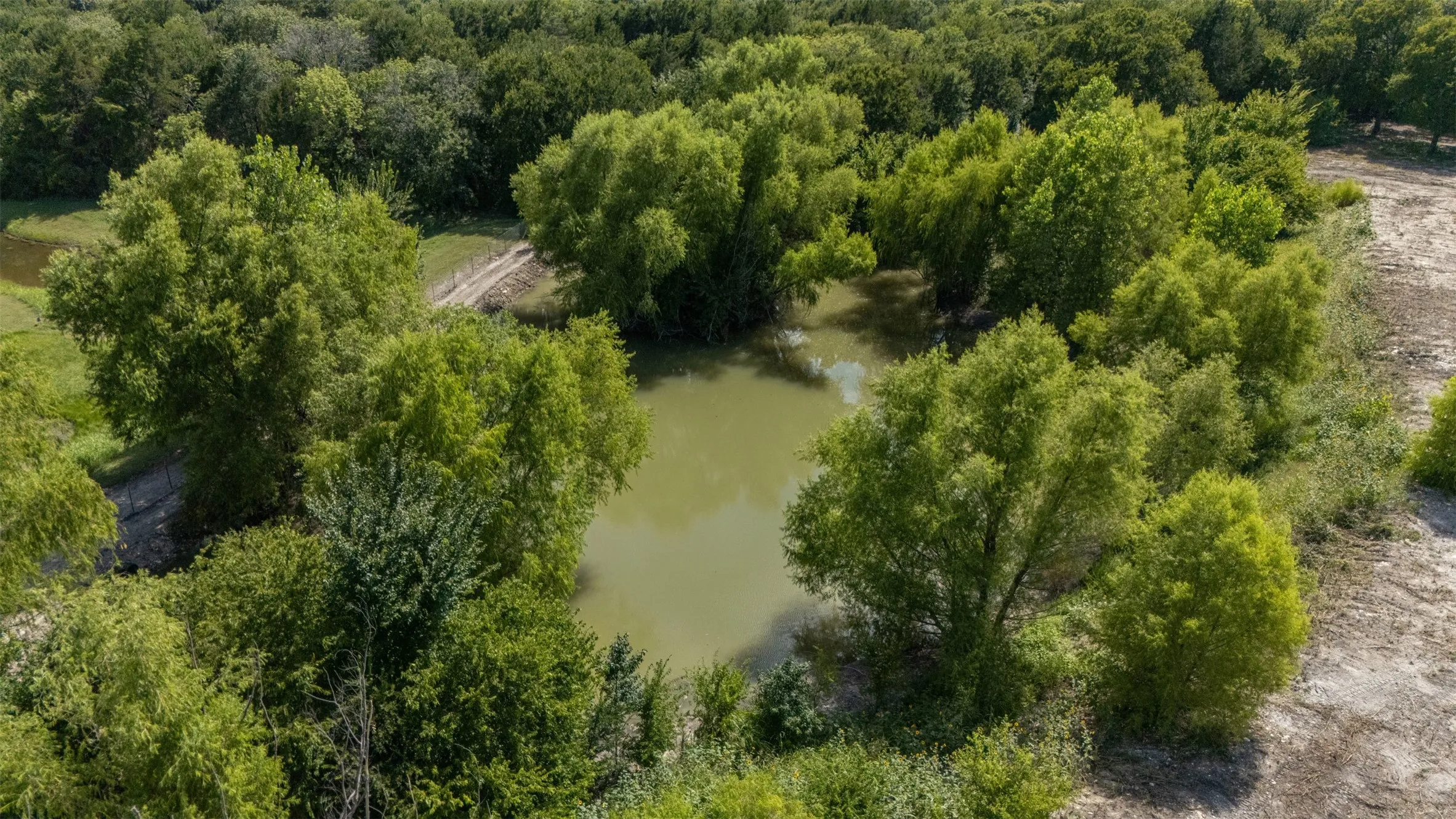 Natural pond surrounded by mature deciduous trees