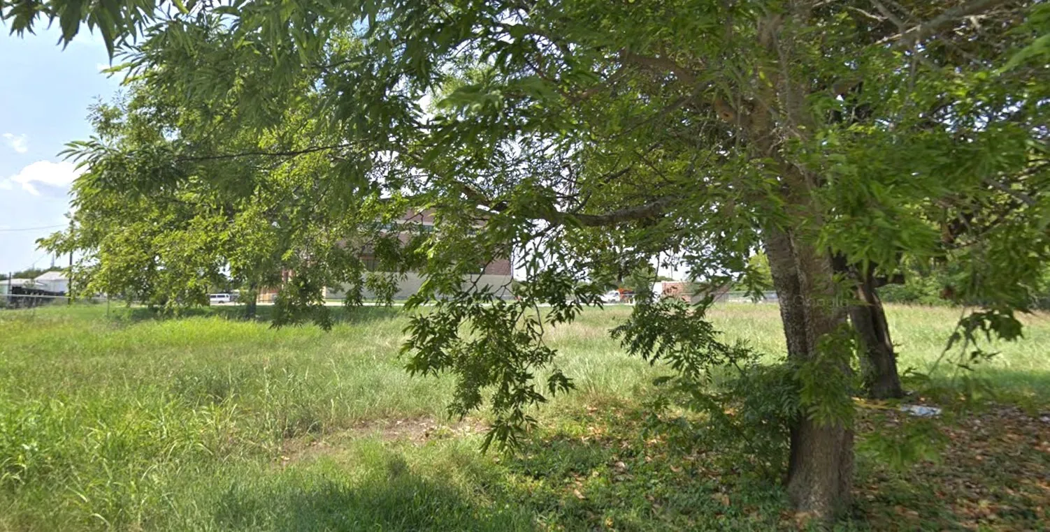 Expansive undeveloped parcel featuring established trees and substantial green space