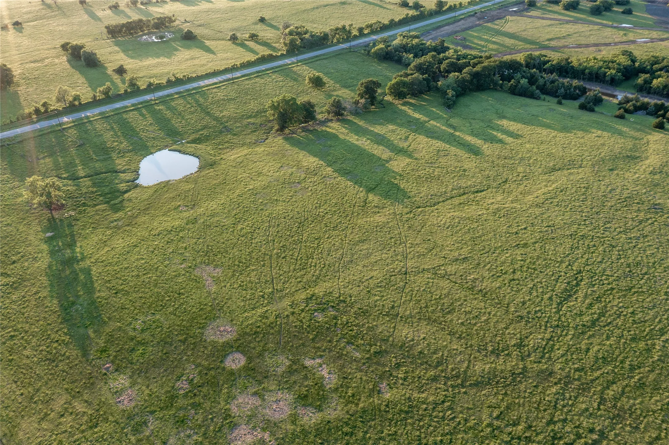 Expansive green pastureland featuring a natural pond, mature trees, and an adjacent paved road