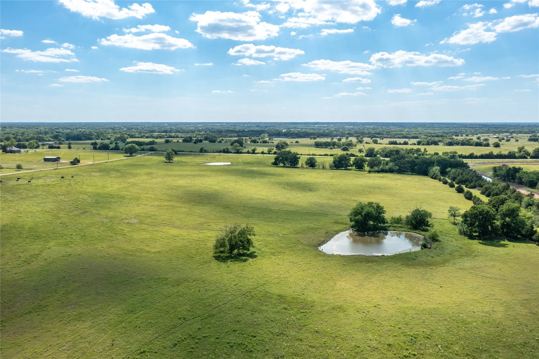 Expansive green landscape featuring two bodies of water, scattered mature trees, and broad open fields extending to the horizon