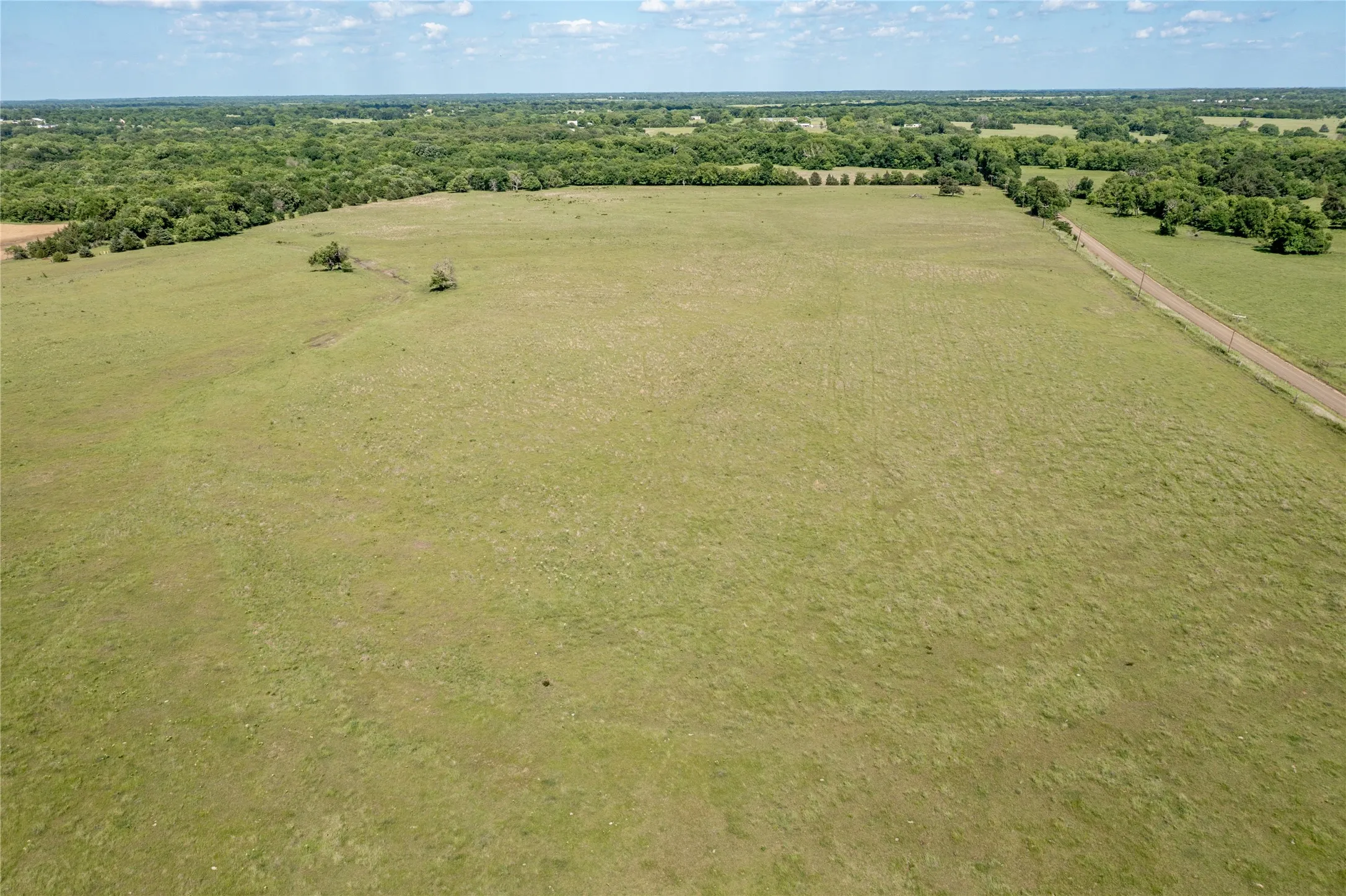 Expansive green pasture with a tree-lined perimeter, bordered by a dirt road