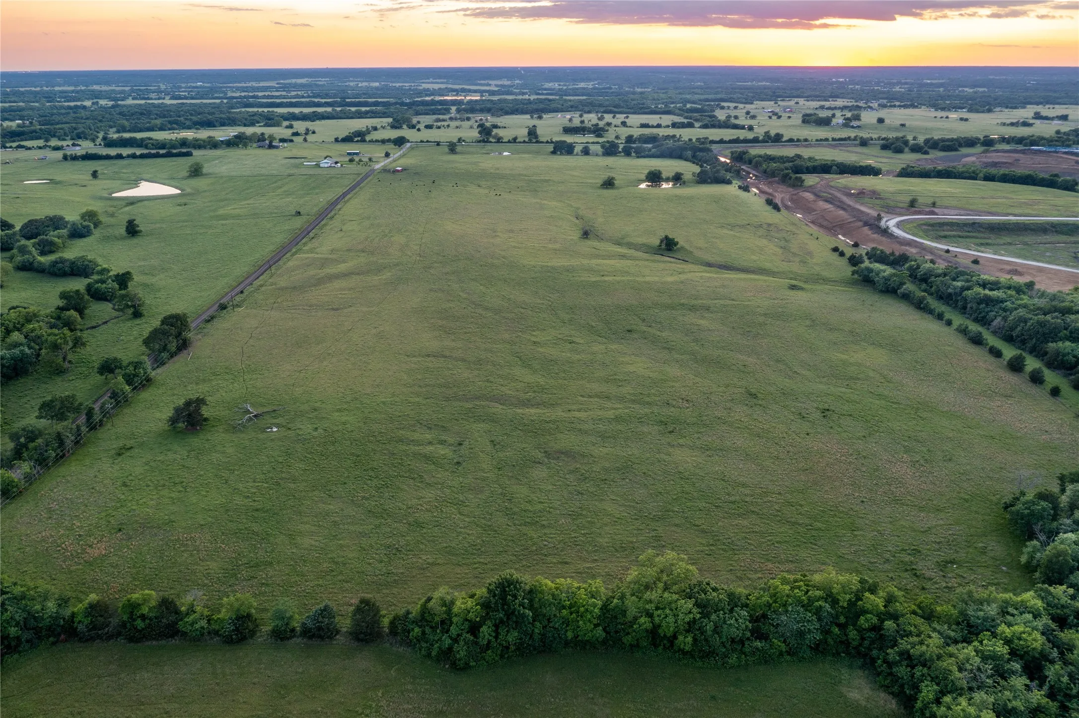 Expansive agricultural land featuring a verdant landscape and scattered trees
