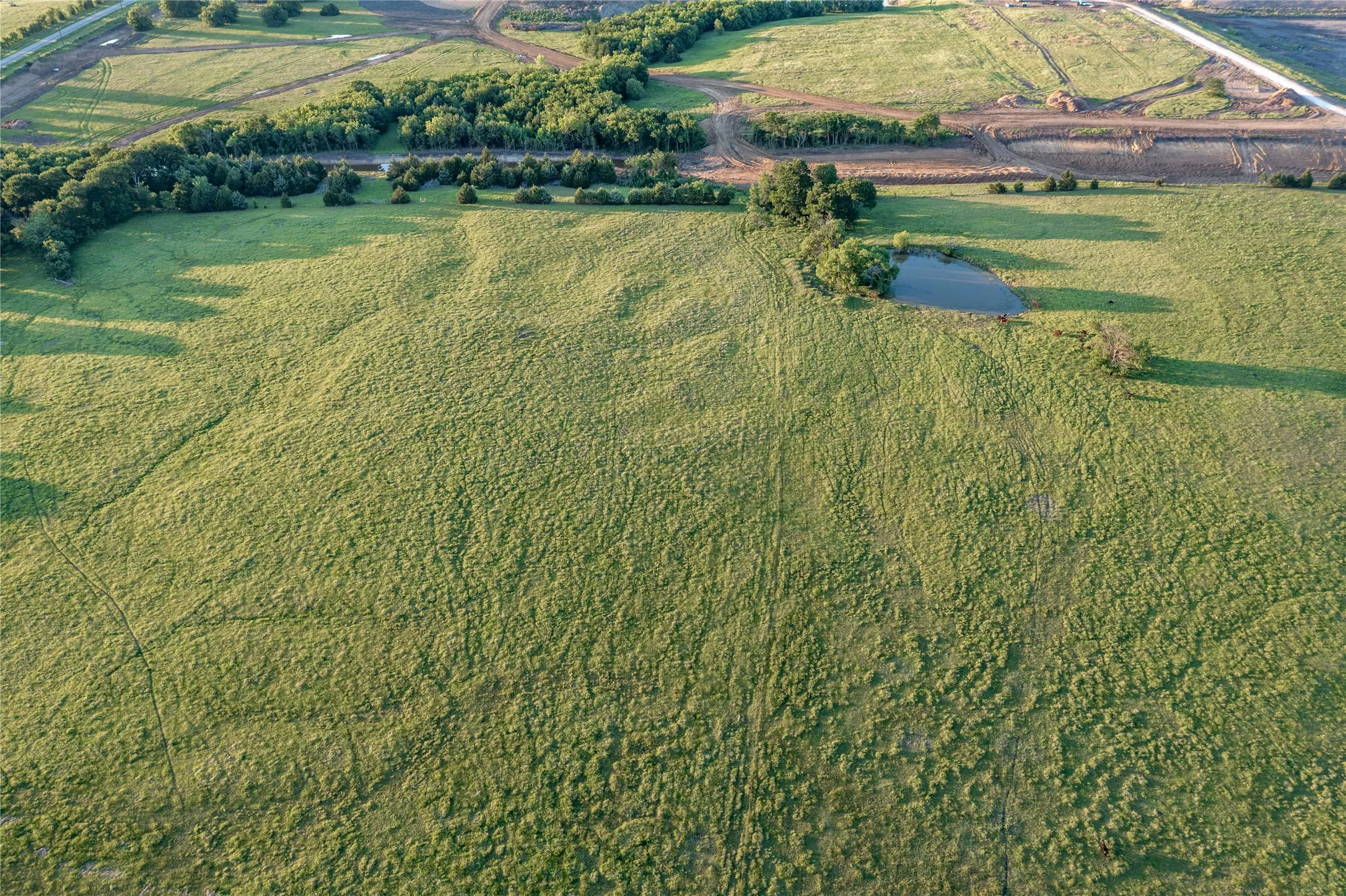 Expansive green pastureland featuring a natural pond, mature trees, and varying terrain