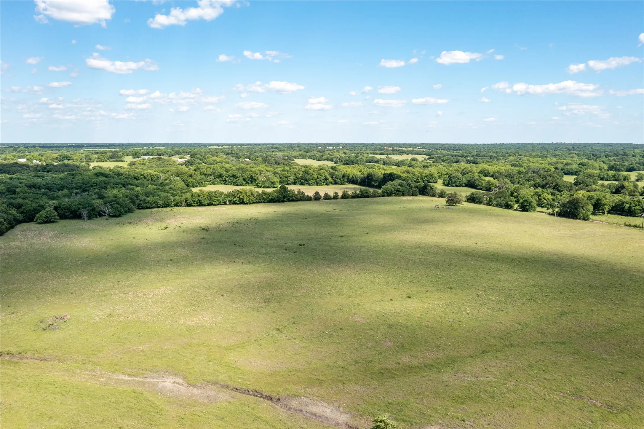 Expansive green pastureland with scattered mature trees and a distant tree line under a clear sky