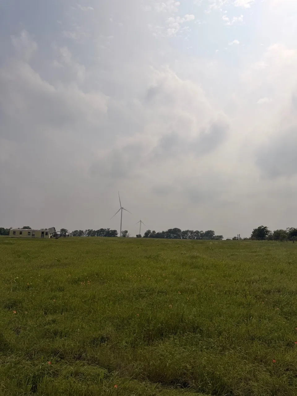 Unimproved Land For Sale in Hill County , 345 CR 3346, Hubbard, Texas 76648, 0, 0, Garage spaces, 0 Sqft, built in 0, Price $205,000, mls#21255859, Real Estate Agent in Hubbard, Homes For Sale in Hill county, Homes For Sale in Hubbard, Realtor in Hubbard Texas, Real Estate Brokerage Independent Realty Texas, Luminita Cordes Realtor