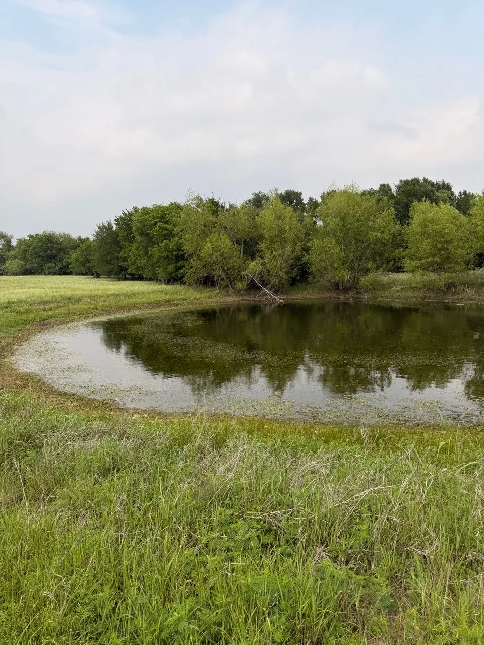 Unimproved Land For Sale in Hill County , 345 CR 3346, Hubbard, Texas 76648, 0, 0, Garage spaces, 0 Sqft, built in 0, Price $205,000, mls#21255859, Real Estate Agent in Hubbard, Homes For Sale in Hill county, Homes For Sale in Hubbard, Realtor in Hubbard Texas, Real Estate Brokerage Independent Realty Texas, Luminita Cordes Realtor