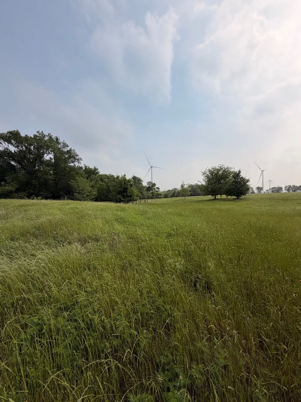 Unimproved Land For Sale in Hill County , 345 CR 3346, Hubbard, Texas 76648, 0, 0, Garage spaces, 0 Sqft, built in 0, Price $205,000, mls#21255859, Real Estate Agent in Hubbard, Homes For Sale in Hill county, Homes For Sale in Hubbard, Realtor in Hubbard Texas, Real Estate Brokerage Independent Realty Texas, Luminita Cordes Realtor