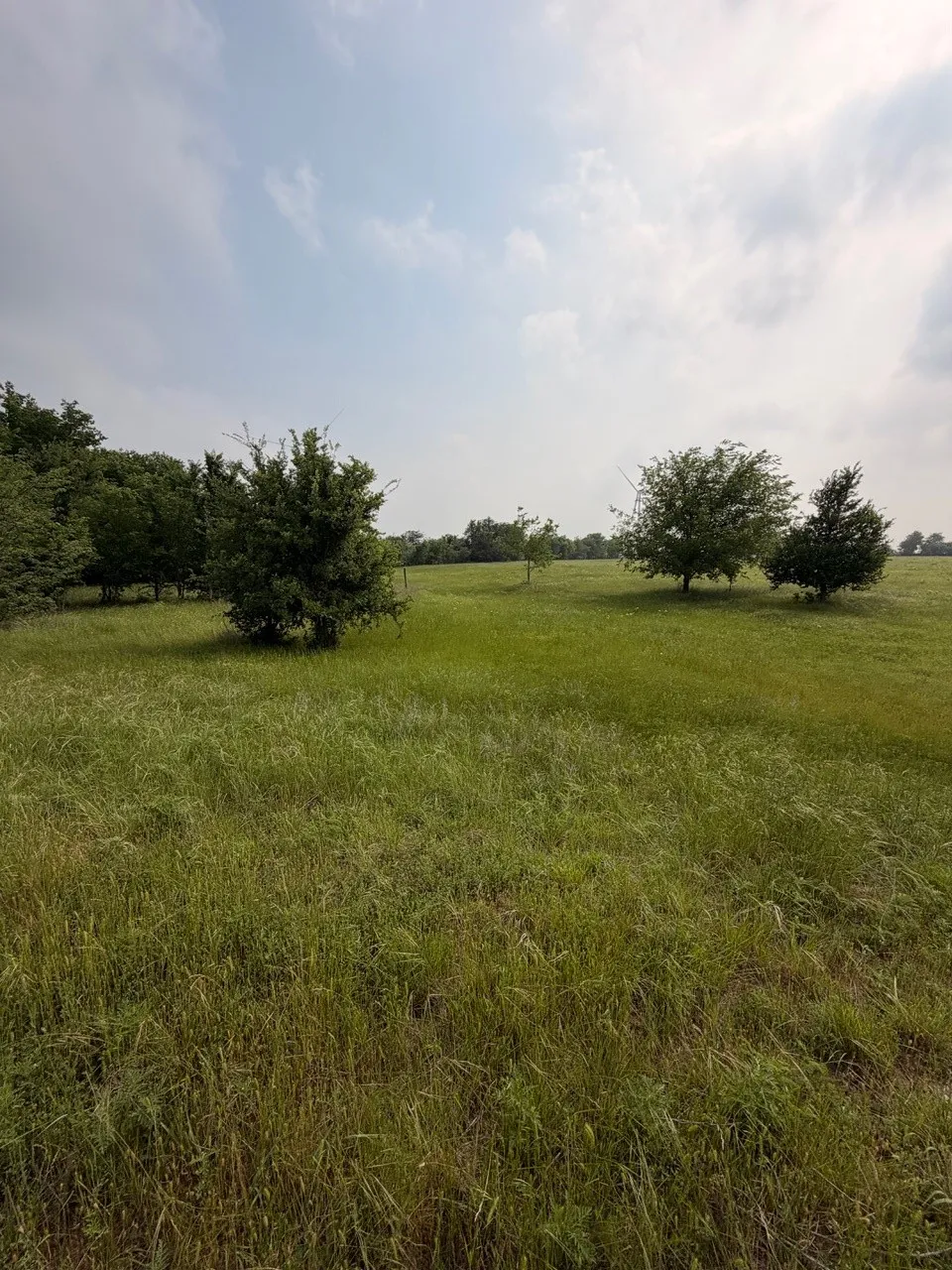 Unimproved Land For Sale in Hill County , 345 CR 3346, Hubbard, Texas 76648, 0, 0, Garage spaces, 0 Sqft, built in 0, Price $205,000, mls#21255859, Real Estate Agent in Hubbard, Homes For Sale in Hill county, Homes For Sale in Hubbard, Realtor in Hubbard Texas, Real Estate Brokerage Independent Realty Texas, Luminita Cordes Realtor