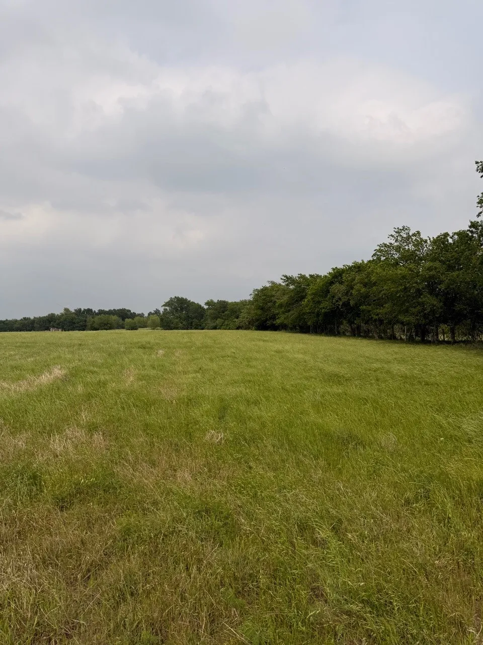 Unimproved Land For Sale in Hill County , 345 CR 3346, Hubbard, Texas 76648, 0, 0, Garage spaces, 0 Sqft, built in 0, Price $205,000, mls#21255859, Real Estate Agent in Hubbard, Homes For Sale in Hill county, Homes For Sale in Hubbard, Realtor in Hubbard Texas, Real Estate Brokerage Independent Realty Texas, Luminita Cordes Realtor
