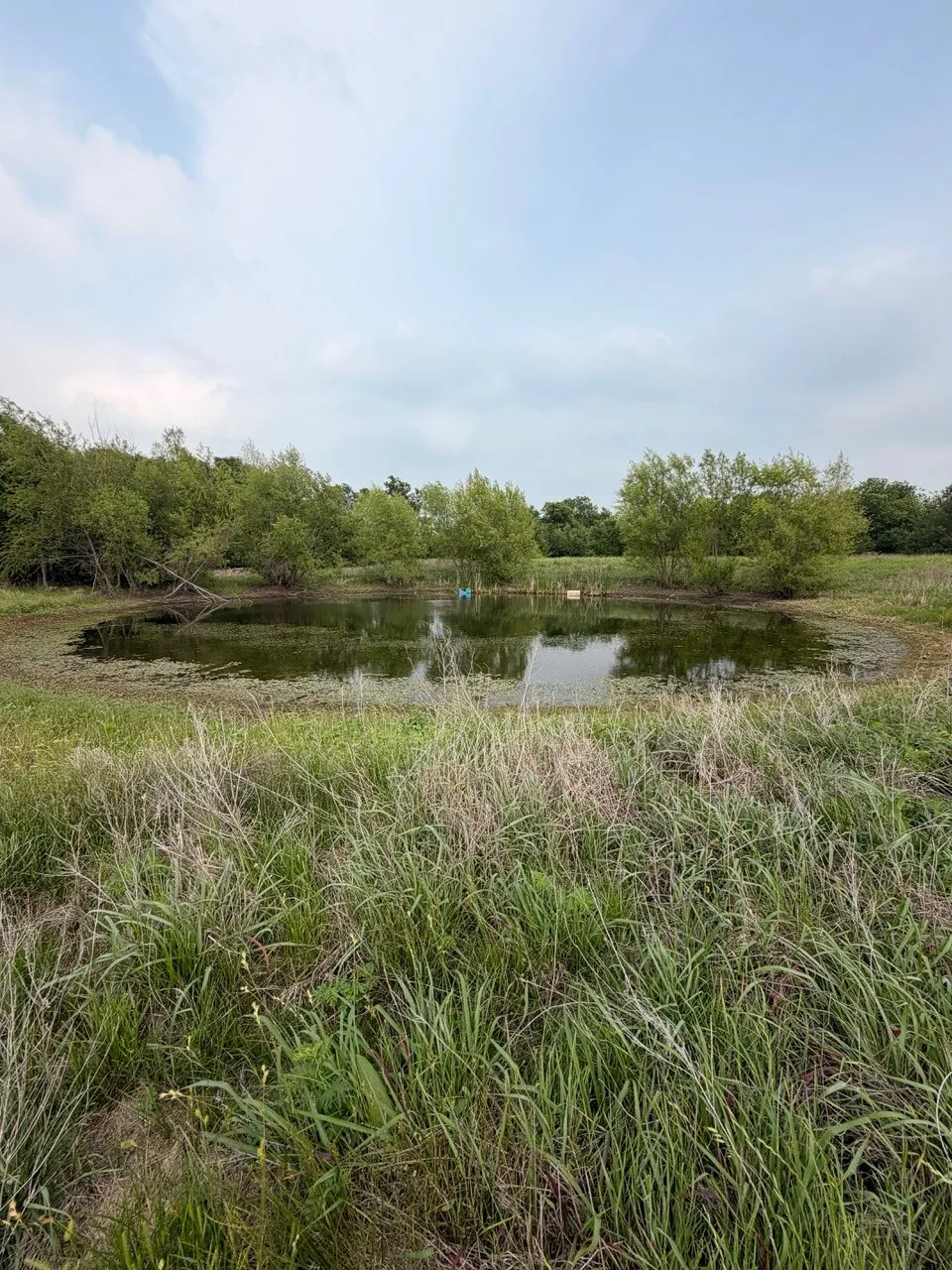 Unimproved Land For Sale in Hill County , 345 CR 3346, Hubbard, Texas 76648, 0, 0, Garage spaces, 0 Sqft, built in 0, Price $205,000, mls#21255859, Real Estate Agent in Hubbard, Homes For Sale in Hill county, Homes For Sale in Hubbard, Realtor in Hubbard Texas, Real Estate Brokerage Independent Realty Texas, Luminita Cordes Realtor