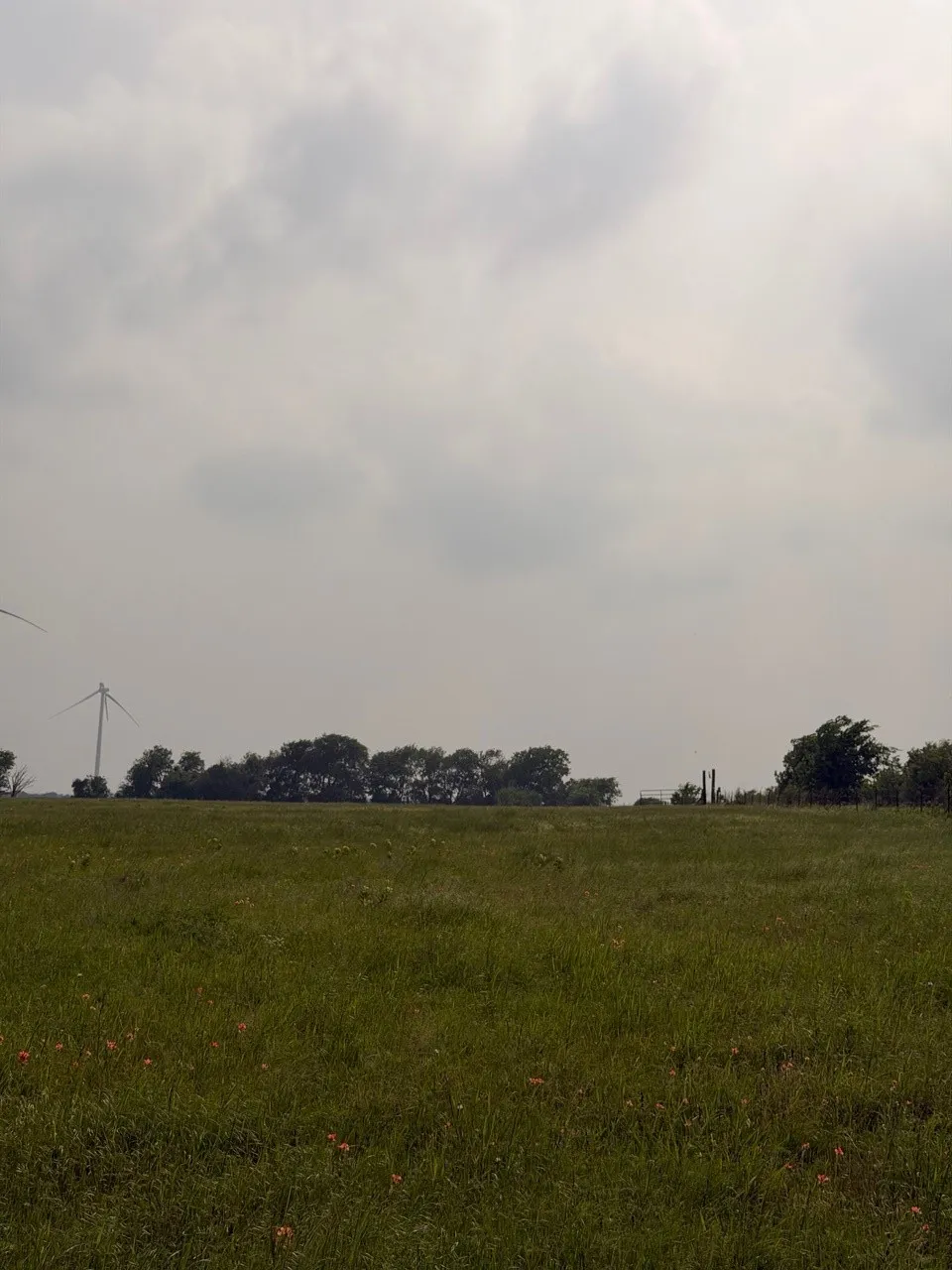 Unimproved Land For Sale in Hill County , 345 CR 3346, Hubbard, Texas 76648, 0, 0, Garage spaces, 0 Sqft, built in 0, Price $205,000, mls#21255859, Real Estate Agent in Hubbard, Homes For Sale in Hill county, Homes For Sale in Hubbard, Realtor in Hubbard Texas, Real Estate Brokerage Independent Realty Texas, Luminita Cordes Realtor