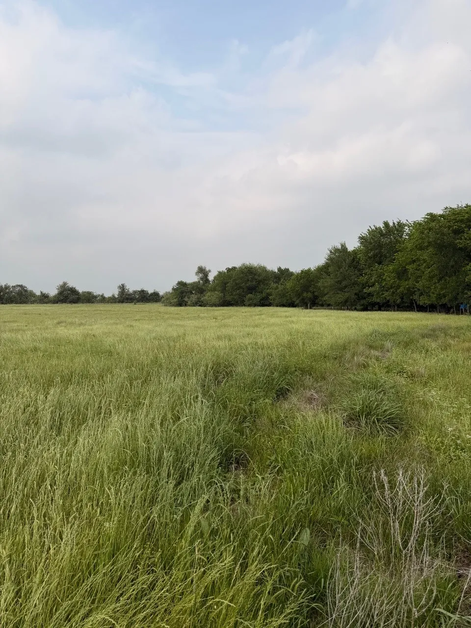 Unimproved Land For Sale in Hill County , 345 CR 3346, Hubbard, Texas 76648, 0, 0, Garage spaces, 0 Sqft, built in 0, Price $205,000, mls#21255859, Real Estate Agent in Hubbard, Homes For Sale in Hill county, Homes For Sale in Hubbard, Realtor in Hubbard Texas, Real Estate Brokerage Independent Realty Texas, Luminita Cordes Realtor