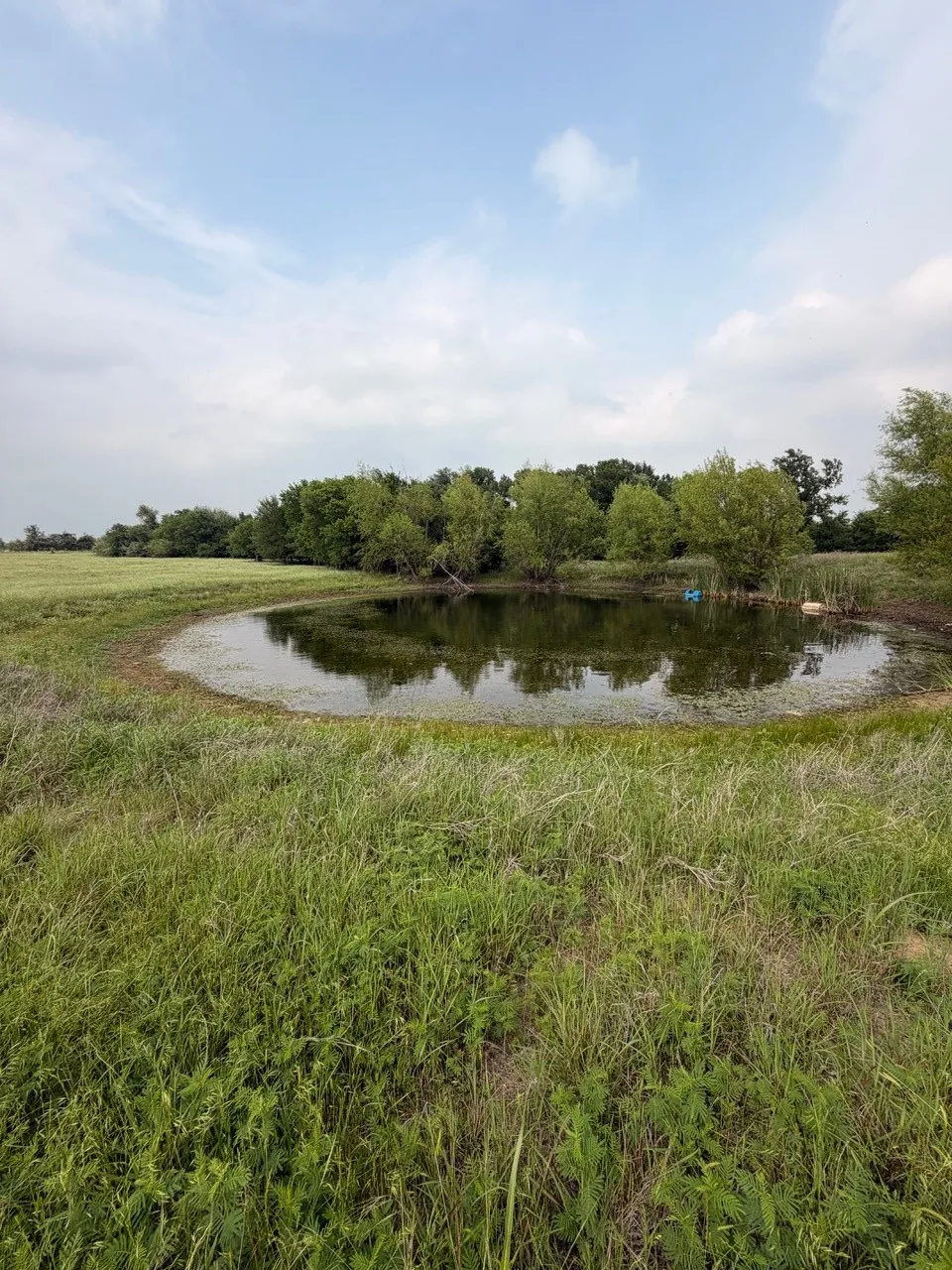 Unimproved Land For Sale in Hill County , 345 CR 3346, Hubbard, Texas 76648, 0, 0, Garage spaces, 0 Sqft, built in 0, Price $205,000, mls#21255859, Real Estate Agent in Hubbard, Homes For Sale in Hill county, Homes For Sale in Hubbard, Realtor in Hubbard Texas, Real Estate Brokerage Independent Realty Texas, Luminita Cordes Realtor