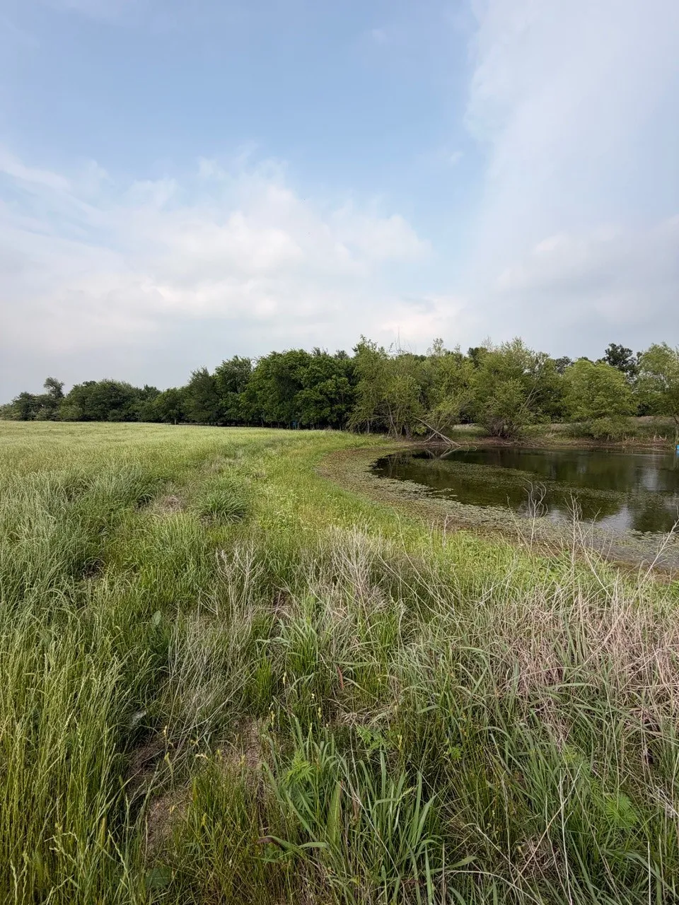 Unimproved Land For Sale in Hill County , 345 CR 3346, Hubbard, Texas 76648, 0, 0, Garage spaces, 0 Sqft, built in 0, Price $205,000, mls#21255859, Real Estate Agent in Hubbard, Homes For Sale in Hill county, Homes For Sale in Hubbard, Realtor in Hubbard Texas, Real Estate Brokerage Independent Realty Texas, Luminita Cordes Realtor