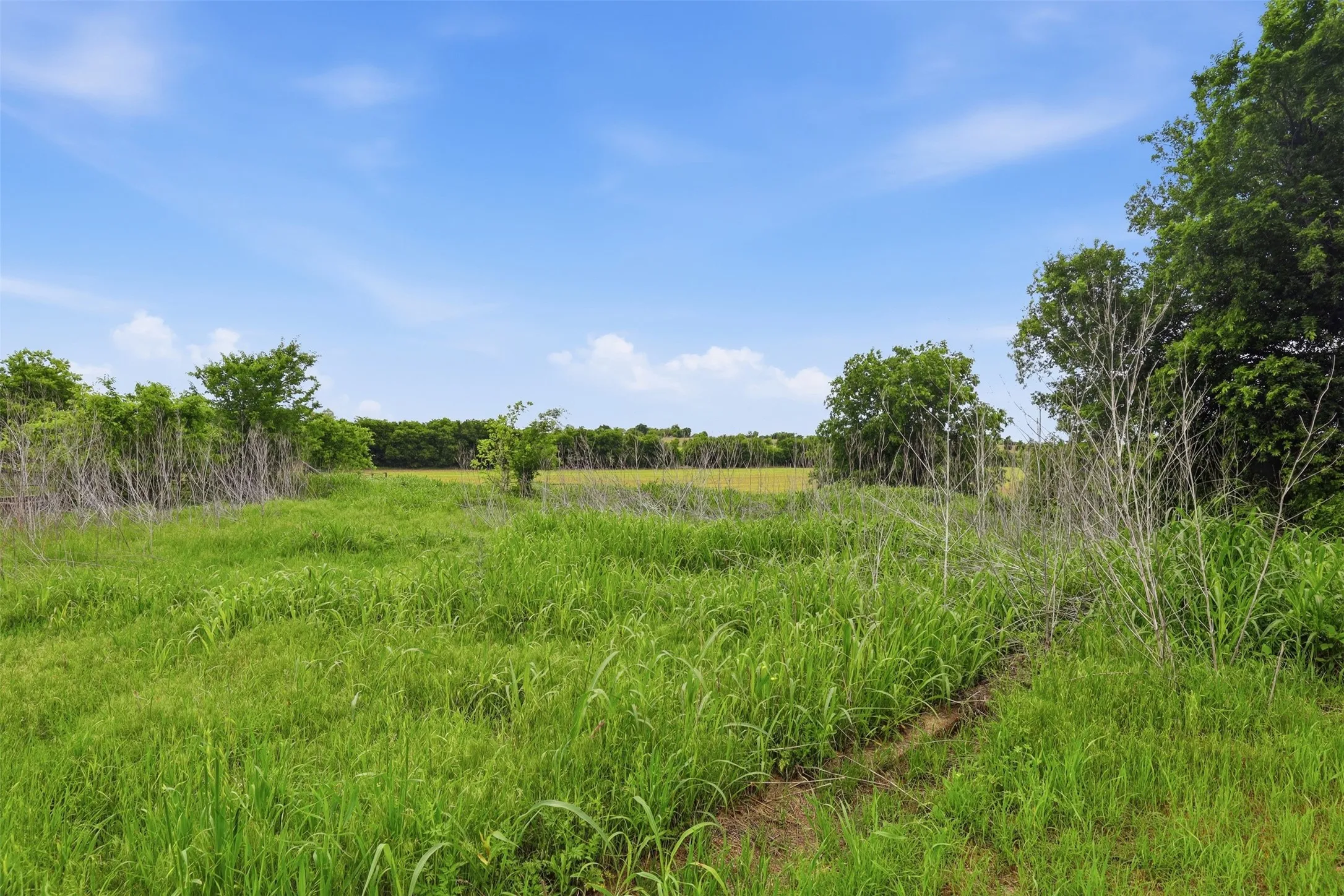 Improved Land For Sale in Johnson County , 745 County Road 1123, Cleburne, Texas 76033, 0, 0, Garage spaces, 0 Sqft, built in 0, mls#21256141, Real Estate Agent in Cleburne, Homes For Sale in Johnson county, Homes For Sale in Cleburne, Realtor in Cleburne Texas, Real Estate Brokerage Independent Realty Texas, Luminita Cordes Realtor