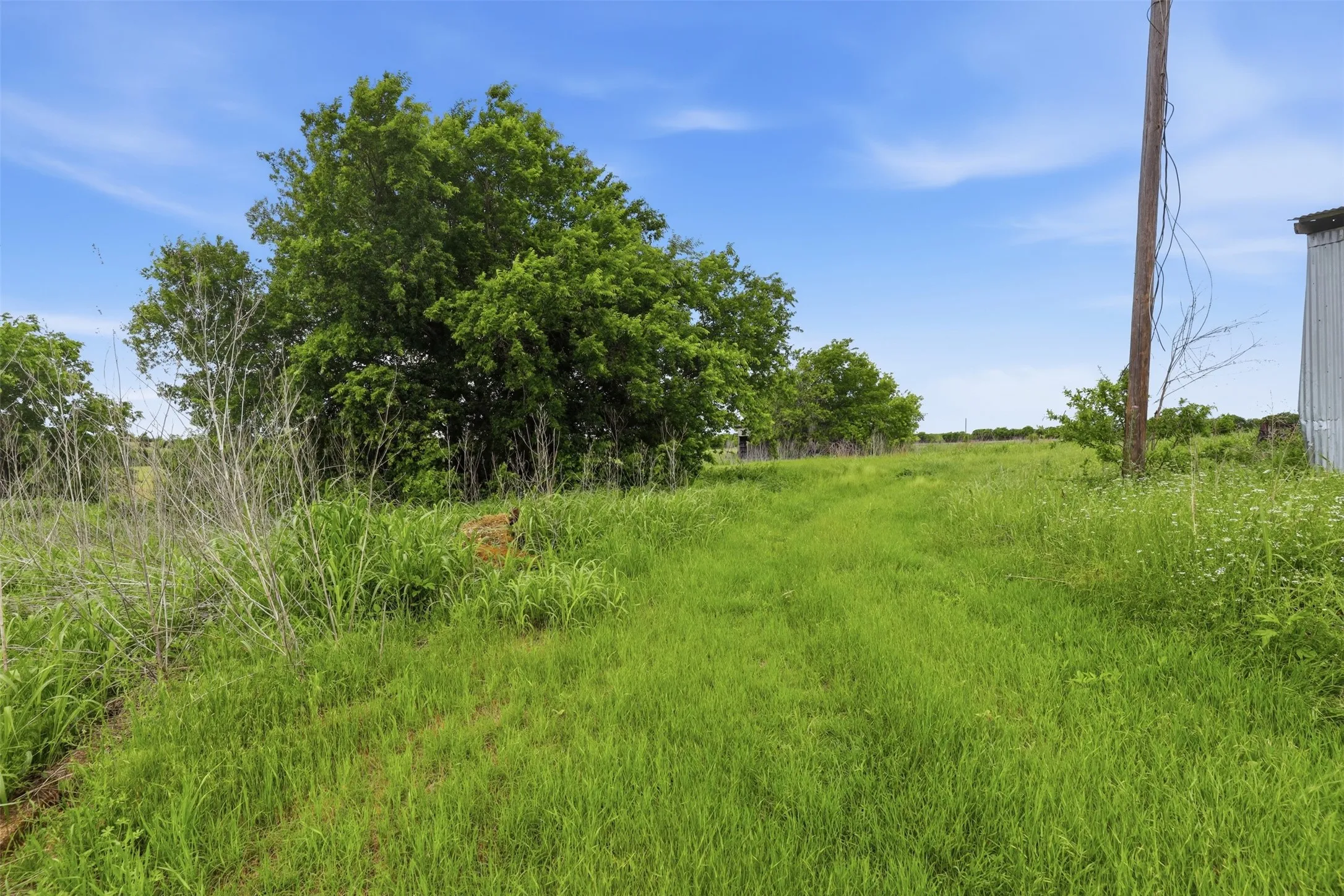 Improved Land For Sale in Johnson County , 745 County Road 1123, Cleburne, Texas 76033, 0, 0, Garage spaces, 0 Sqft, built in 0, mls#21256141, Real Estate Agent in Cleburne, Homes For Sale in Johnson county, Homes For Sale in Cleburne, Realtor in Cleburne Texas, Real Estate Brokerage Independent Realty Texas, Luminita Cordes Realtor