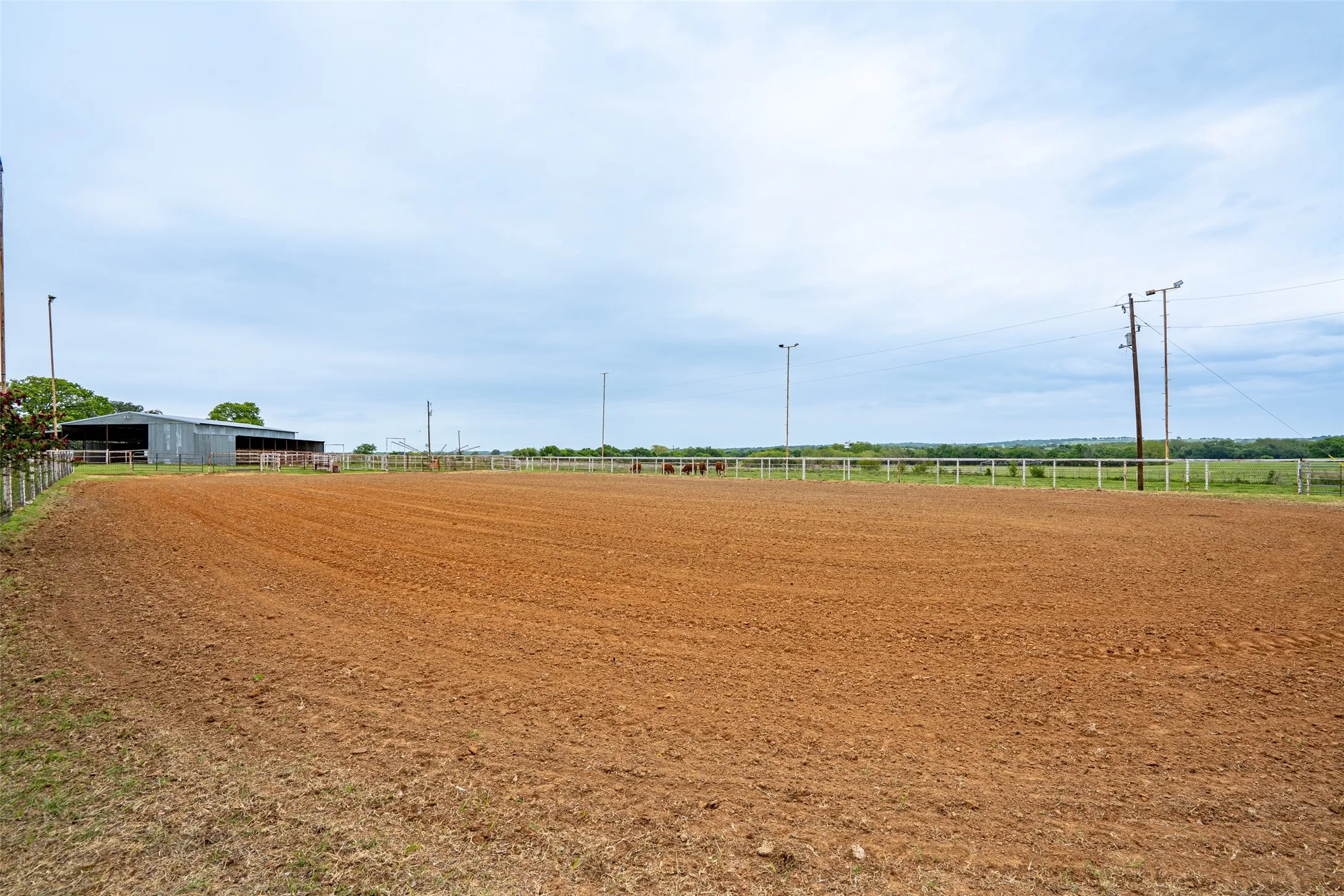 Spacious outdoor arena featuring a dirt surface, white perimeter fencing, and overhead lighting