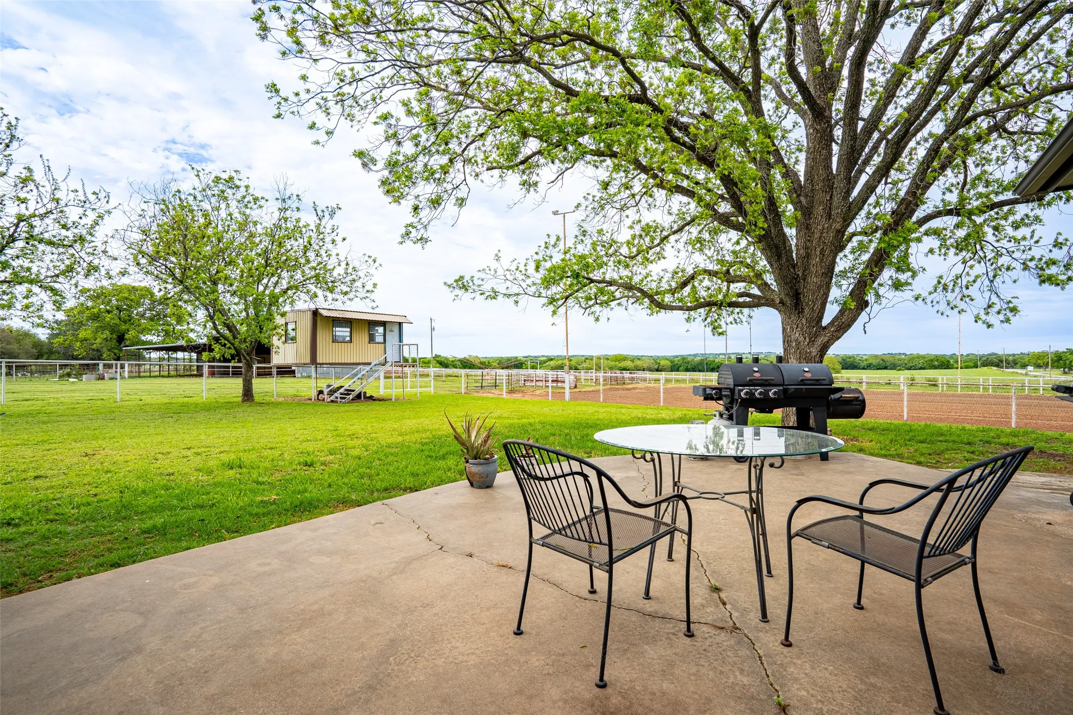 Expansive outdoor patio featuring a concrete surface and a mature tree providing natural shade