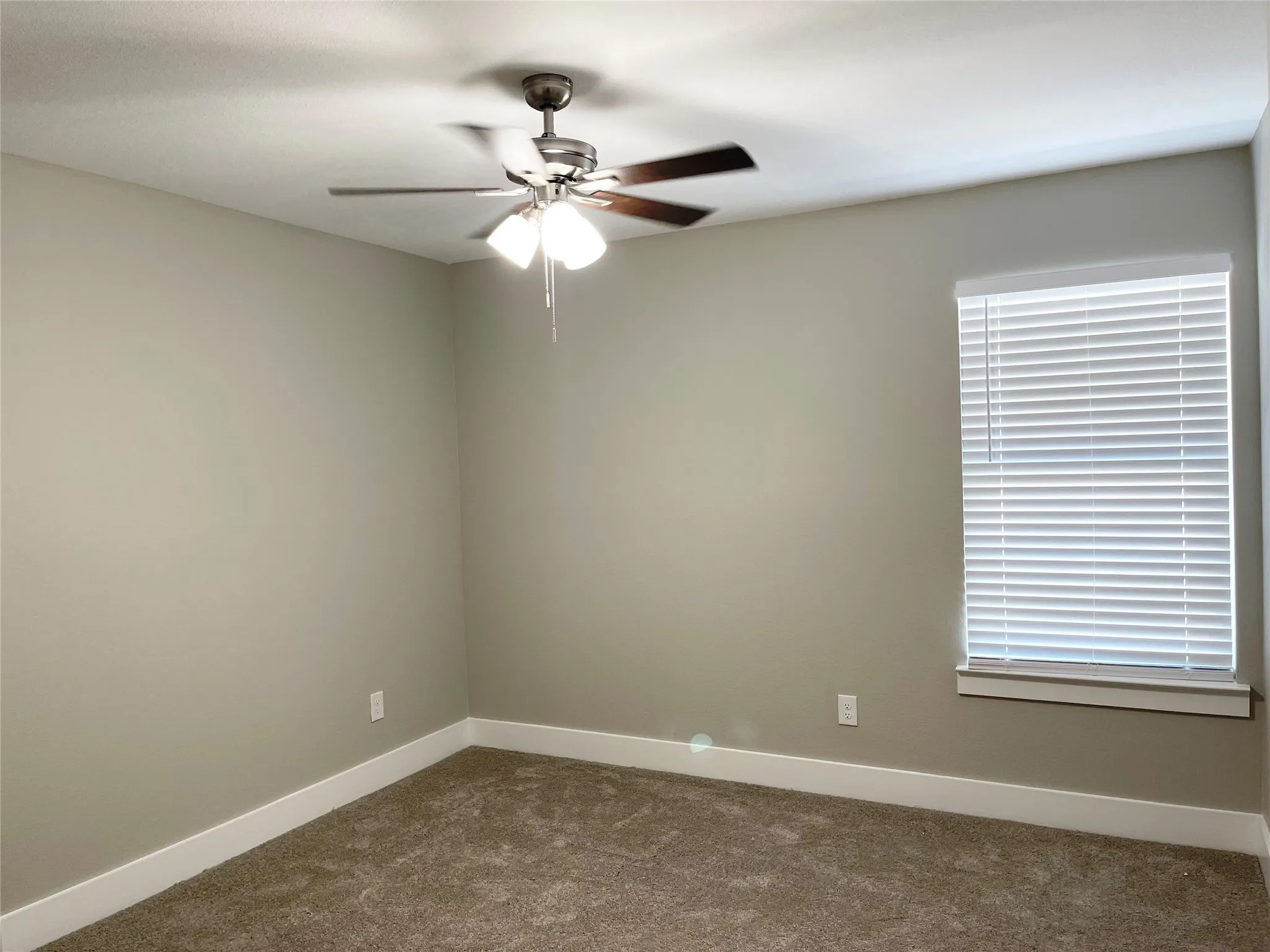 Neutral-toned wall paint with white trim, complemented by plush carpeting