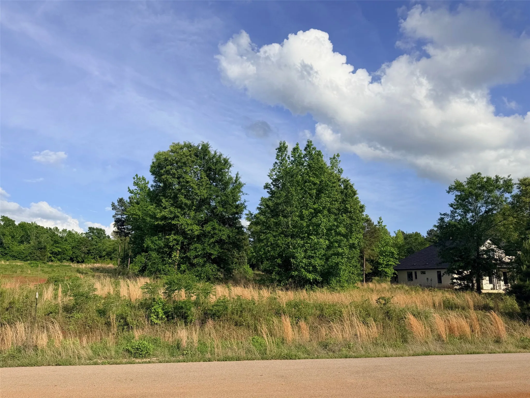 Unimproved Land For Sale in Cherokee County , 830 Stone Chimney Rd, Bullard, Texas 75757, 0, 0, Garage spaces, 0 Sqft, built in 0, mls#21255352, Real Estate Agent in Bullard, Homes For Sale in Cherokee county, Homes For Sale in Bullard, Realtor in Bullard Texas, Real Estate Brokerage Independent Realty Texas, Luminita Cordes Realtor