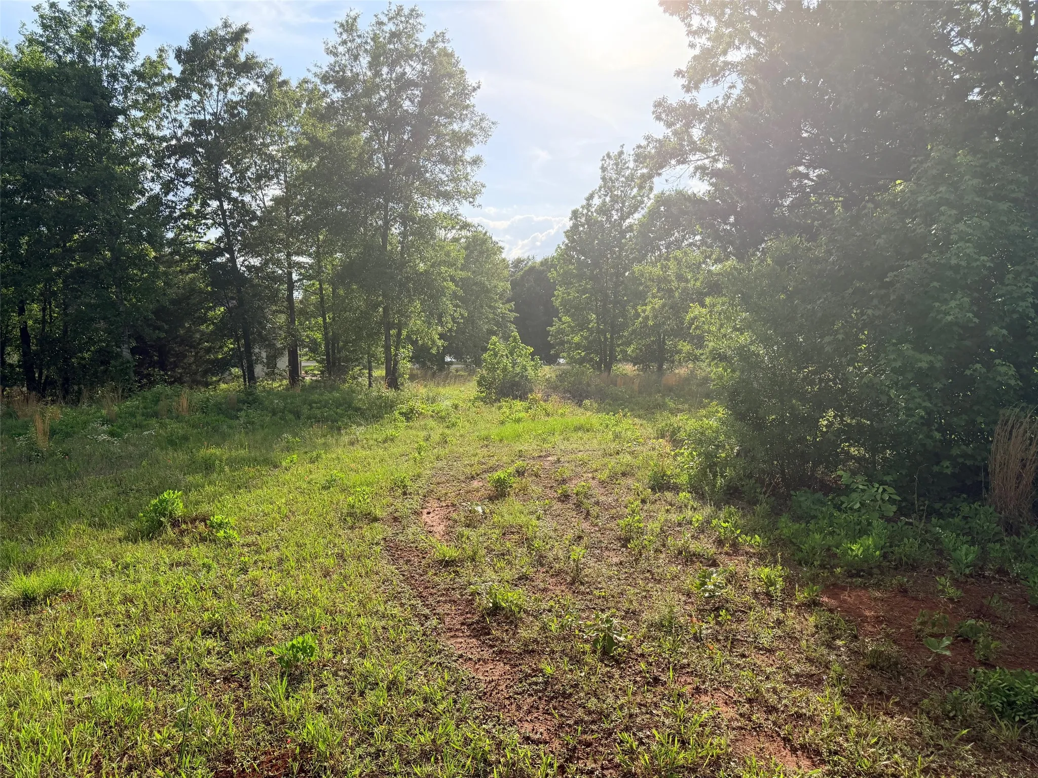 Unimproved Land For Sale in Cherokee County , 830 Stone Chimney Rd, Bullard, Texas 75757, 0, 0, Garage spaces, 0 Sqft, built in 0, mls#21255352, Real Estate Agent in Bullard, Homes For Sale in Cherokee county, Homes For Sale in Bullard, Realtor in Bullard Texas, Real Estate Brokerage Independent Realty Texas, Luminita Cordes Realtor