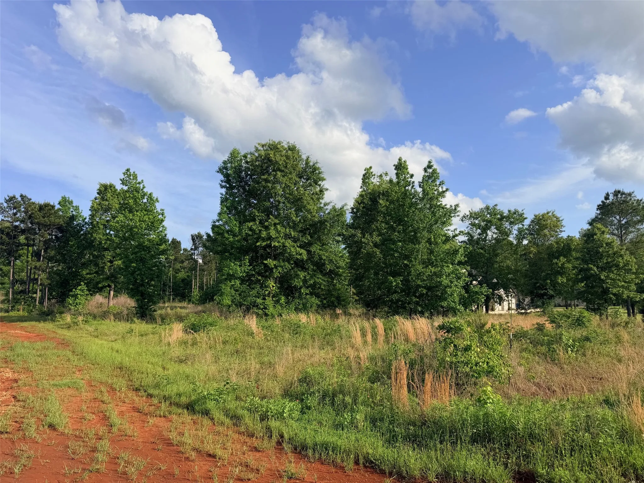 Unimproved Land For Sale in Cherokee County , 830 Stone Chimney Rd, Bullard, Texas 75757, 0, 0, Garage spaces, 0 Sqft, built in 0, mls#21255352, Real Estate Agent in Bullard, Homes For Sale in Cherokee county, Homes For Sale in Bullard, Realtor in Bullard Texas, Real Estate Brokerage Independent Realty Texas, Luminita Cordes Realtor