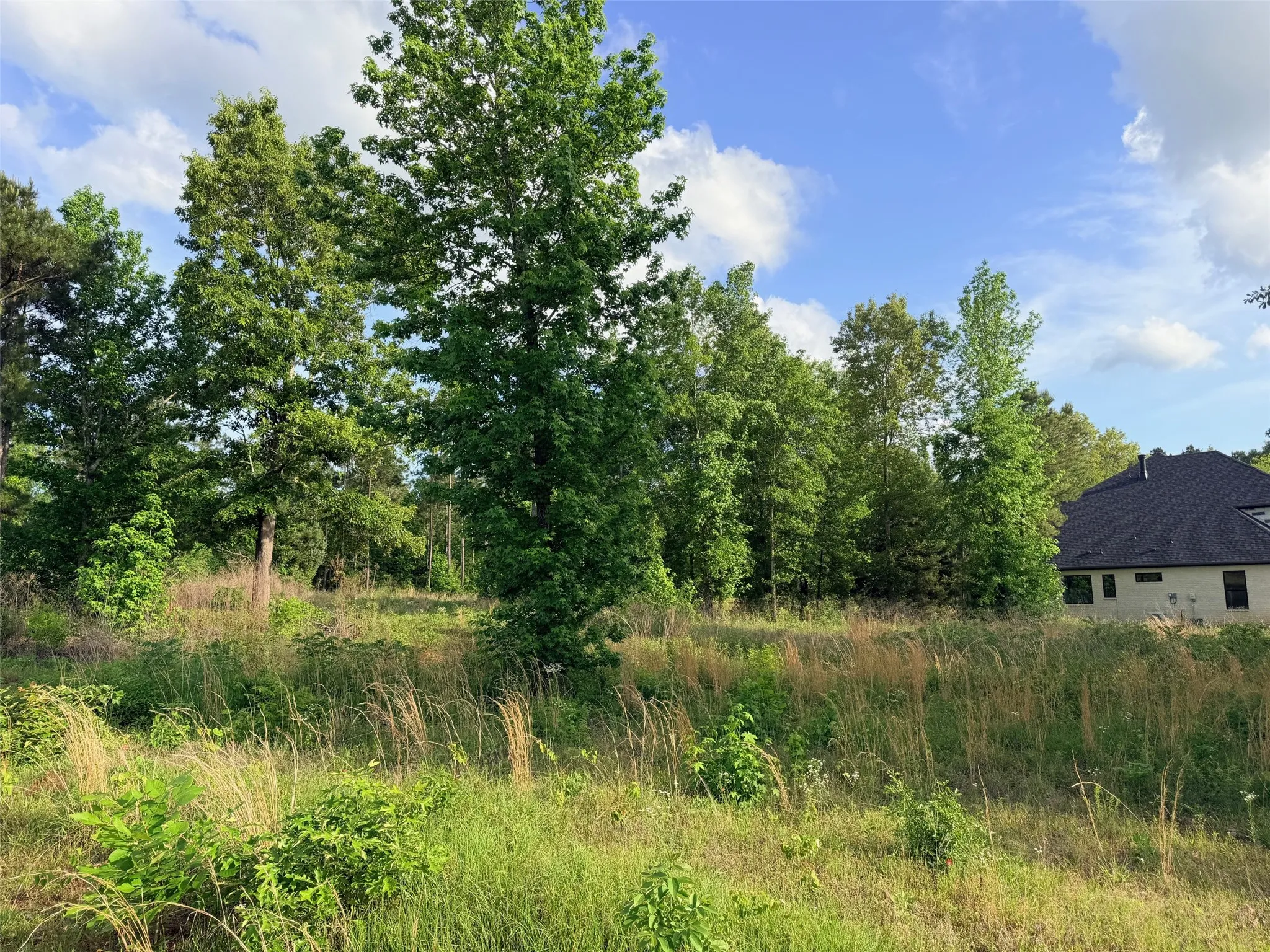 Unimproved Land For Sale in Cherokee County , 830 Stone Chimney Rd, Bullard, Texas 75757, 0, 0, Garage spaces, 0 Sqft, built in 0, mls#21255352, Real Estate Agent in Bullard, Homes For Sale in Cherokee county, Homes For Sale in Bullard, Realtor in Bullard Texas, Real Estate Brokerage Independent Realty Texas, Luminita Cordes Realtor