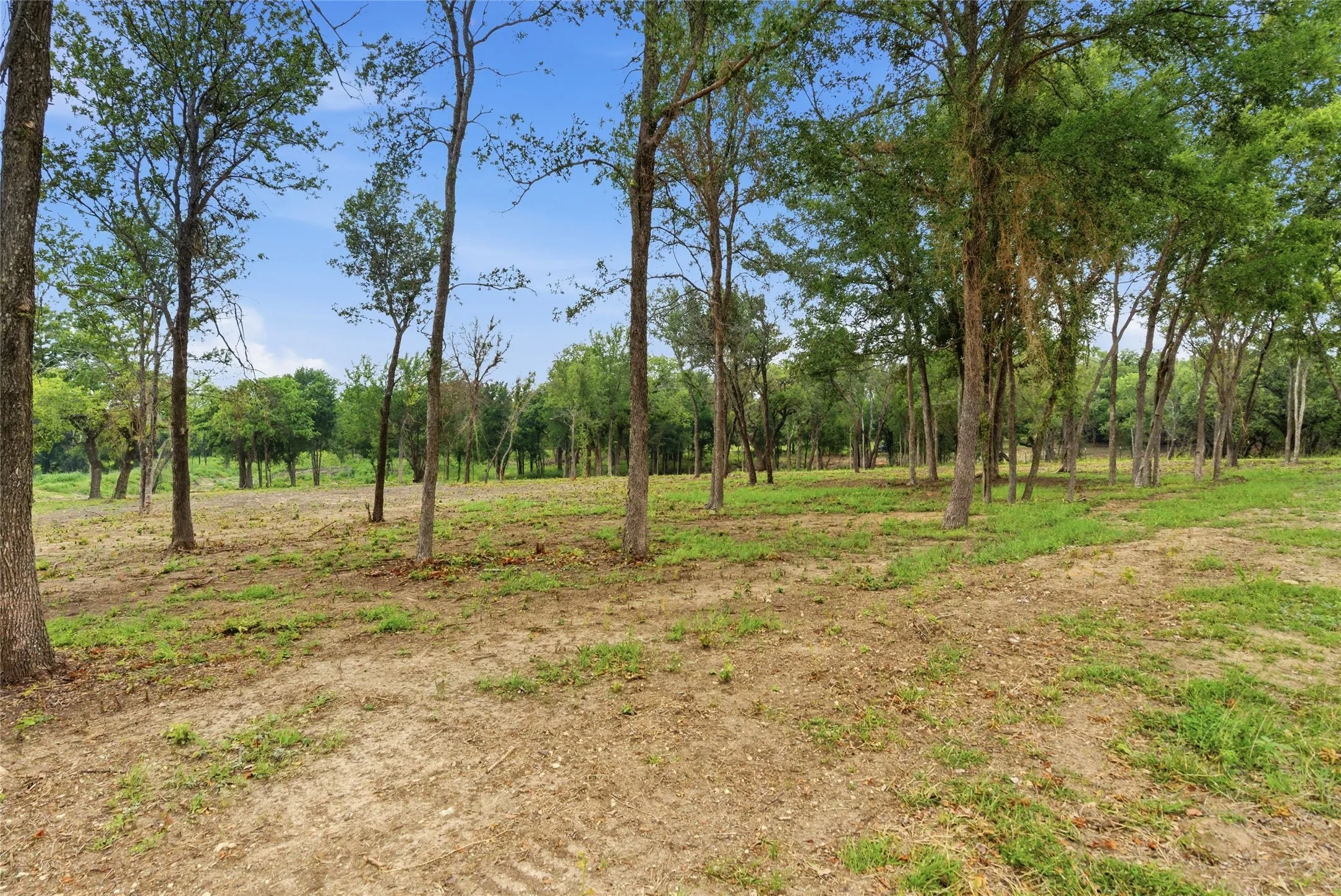 Single Family Residence For Sale in Erath County , 1070 Diamond Oaks Road, Stephenville, Texas 76401, 3 Bedroom, 2 Bathroom, 2 Garage spaces, 1,580 Sqft, built in 1999, mls#21255604, Real Estate Agent in Stephenville, Homes For Sale in Erath county, Homes For Sale in Stephenville, Realtor in Stephenville Texas, Real Estate Brokerage Independent Realty Texas, Luminita Cordes Realtor